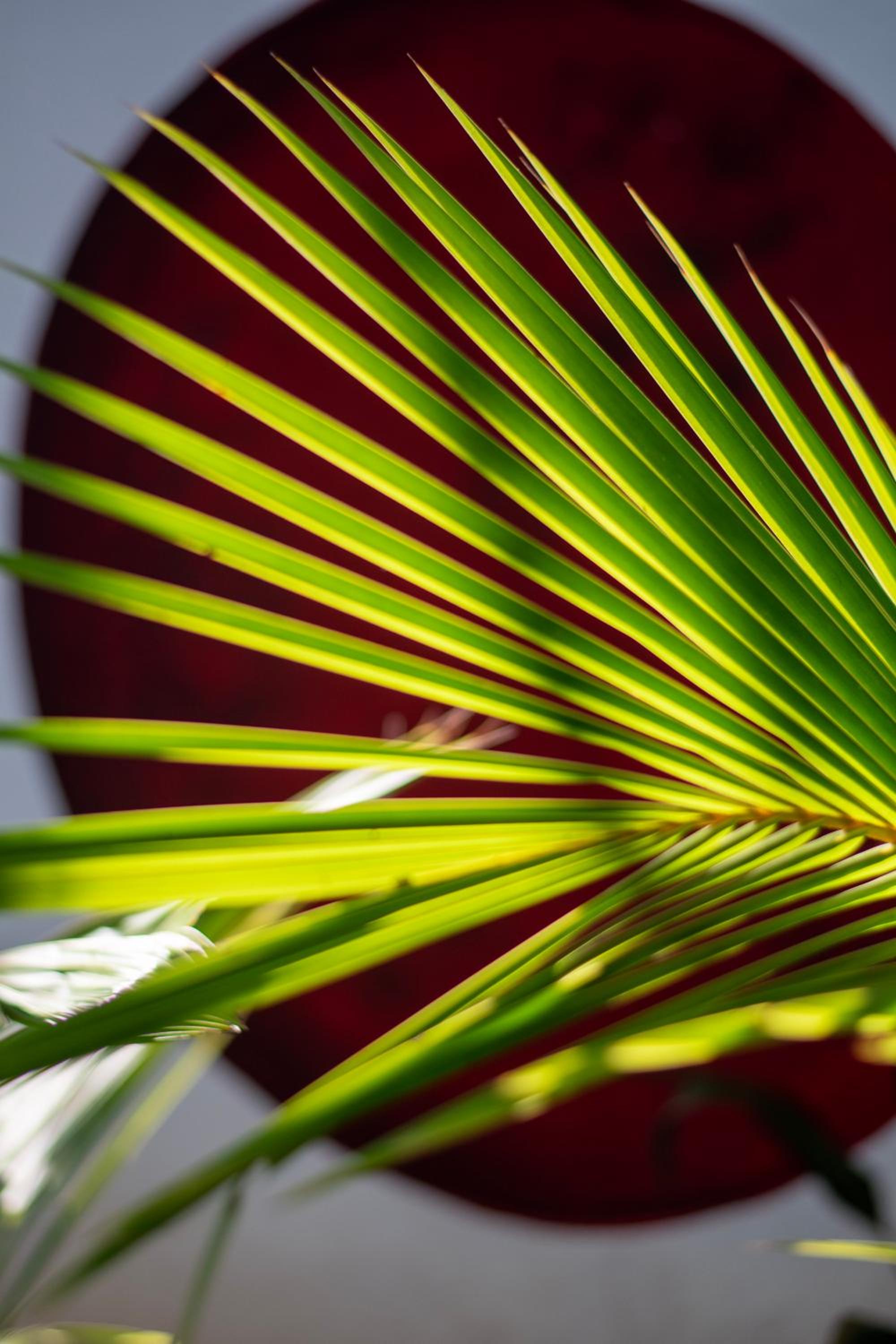 Marbella Retreats Casa Roja
