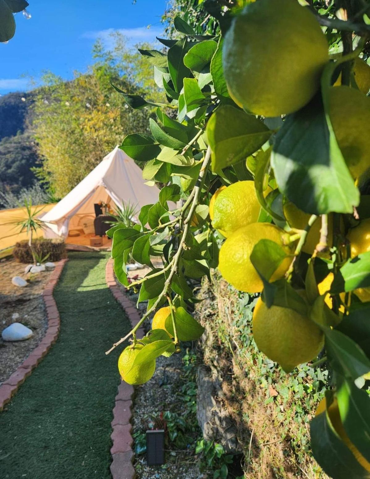 Re dream suite a tema - Rapallo en Rapallo — other