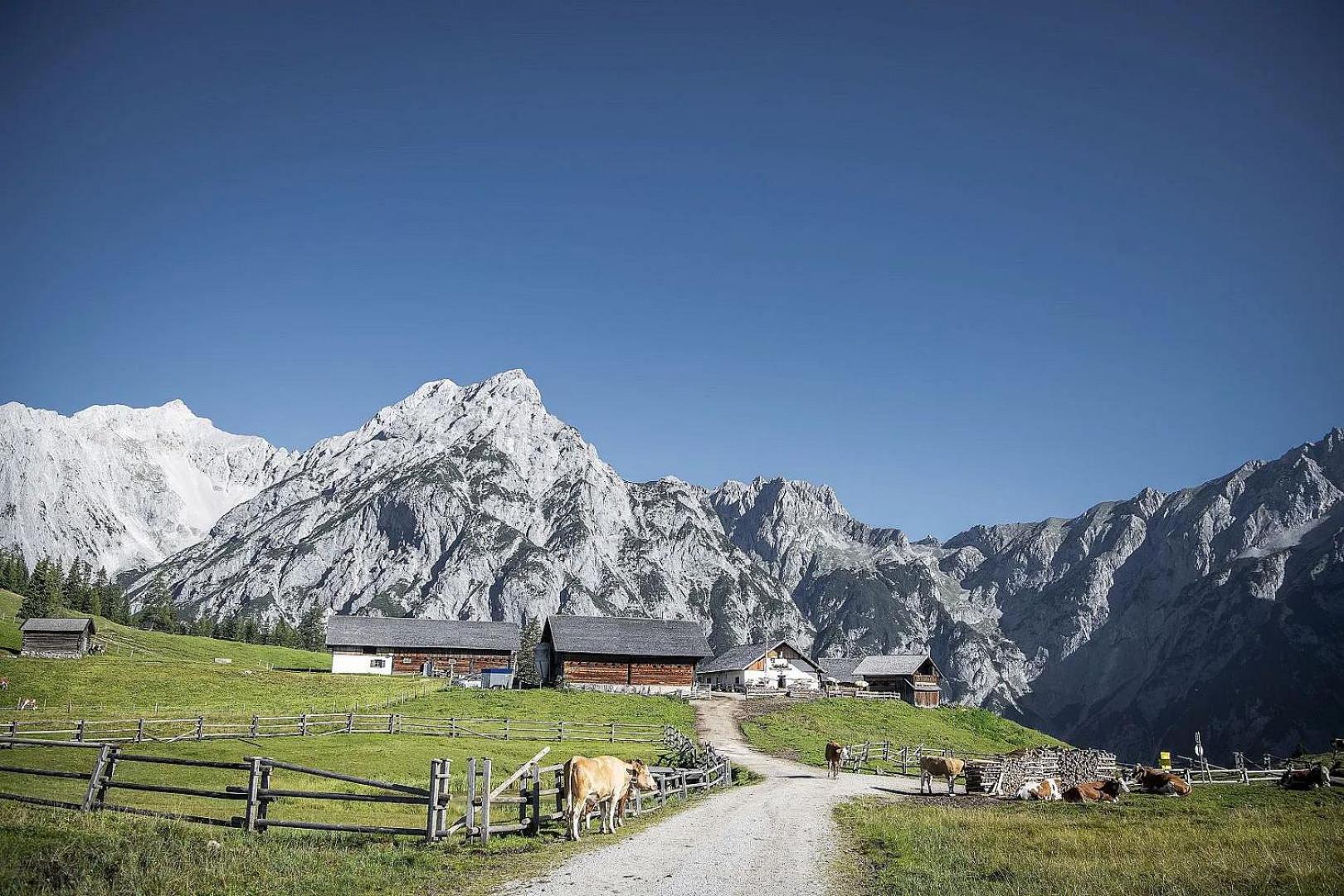 Ferienwohnung Waldfrieden