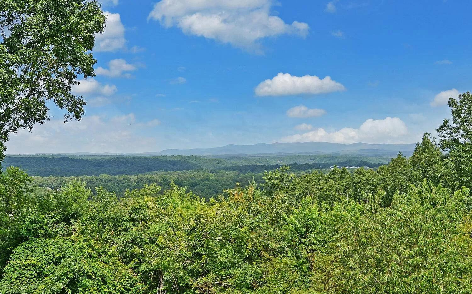 Birds Eye Cabin - Sunset & Starry Retreat Pet Friendly w Private HotTub, Fire Pit and Game Room view 5