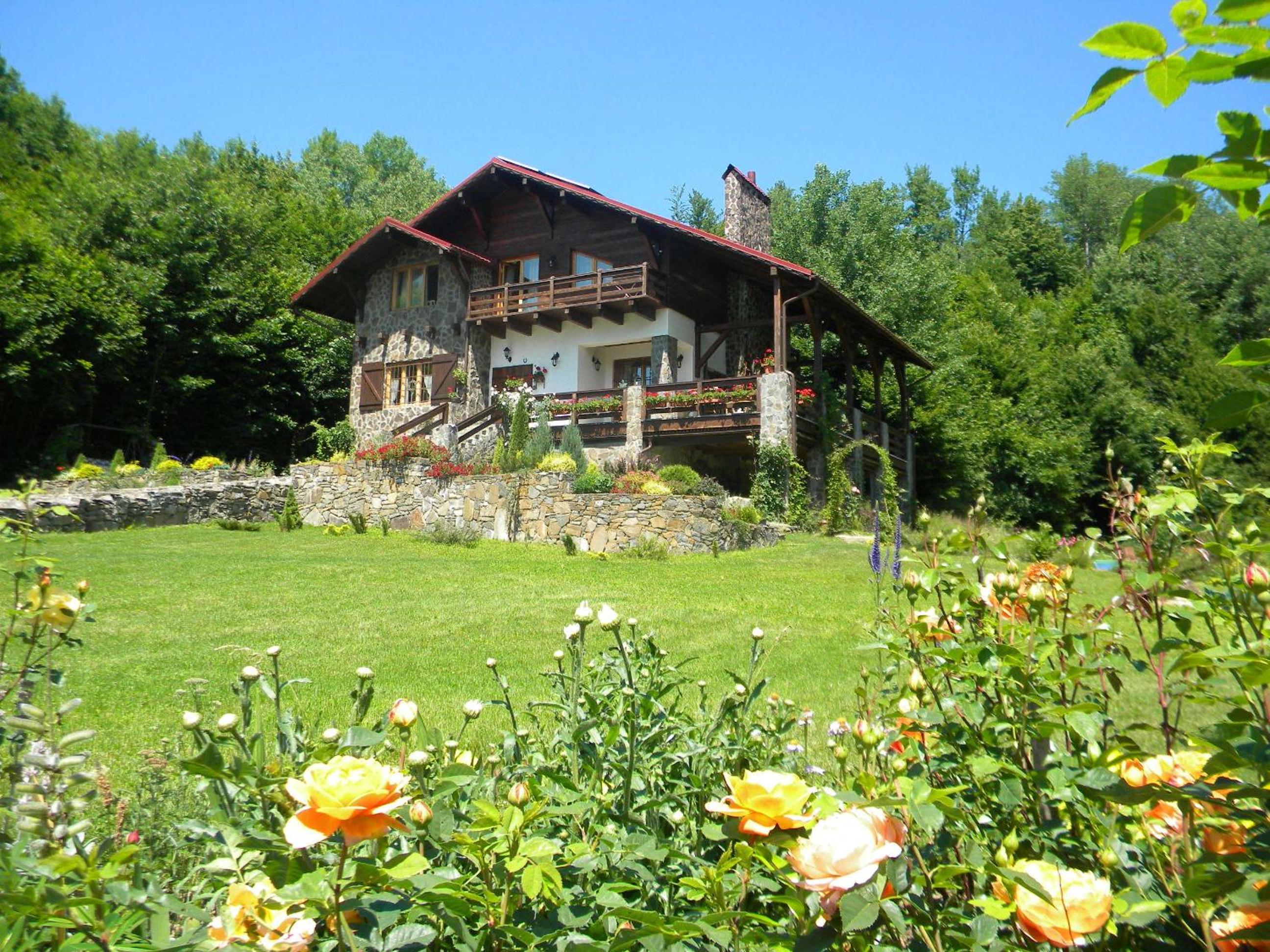 Photo 44