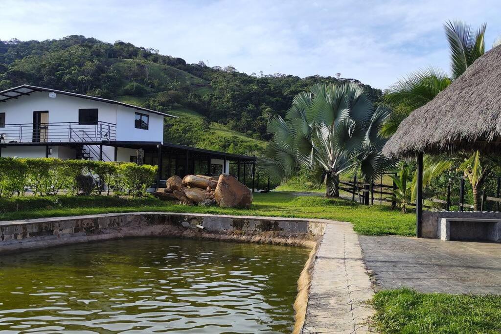Eco Cabaña San Carlos Ant