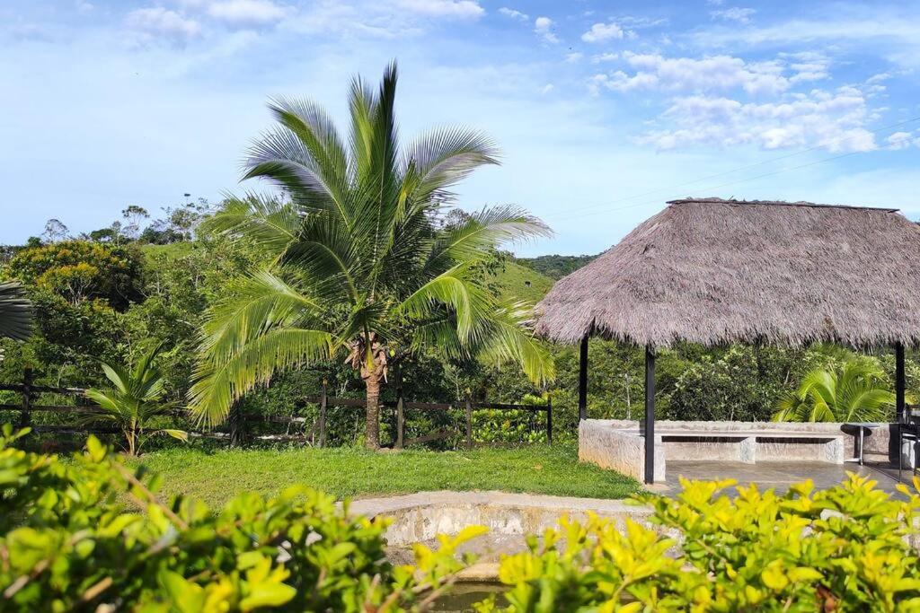 Eco Cabaña San Carlos Ant
