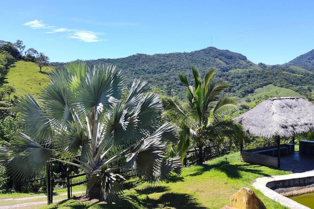 Eco Cabaña San Carlos Ant