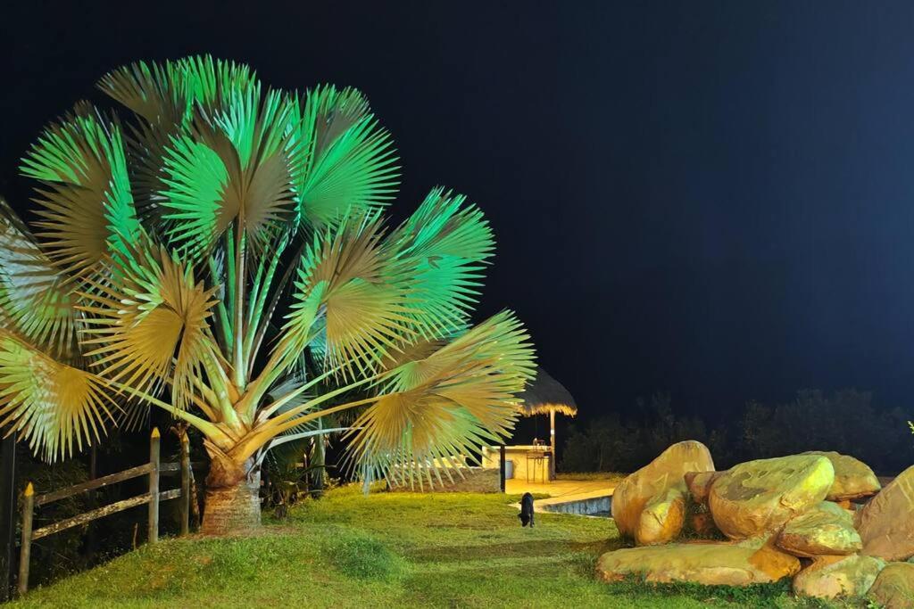 Eco Cabaña San Carlos Ant