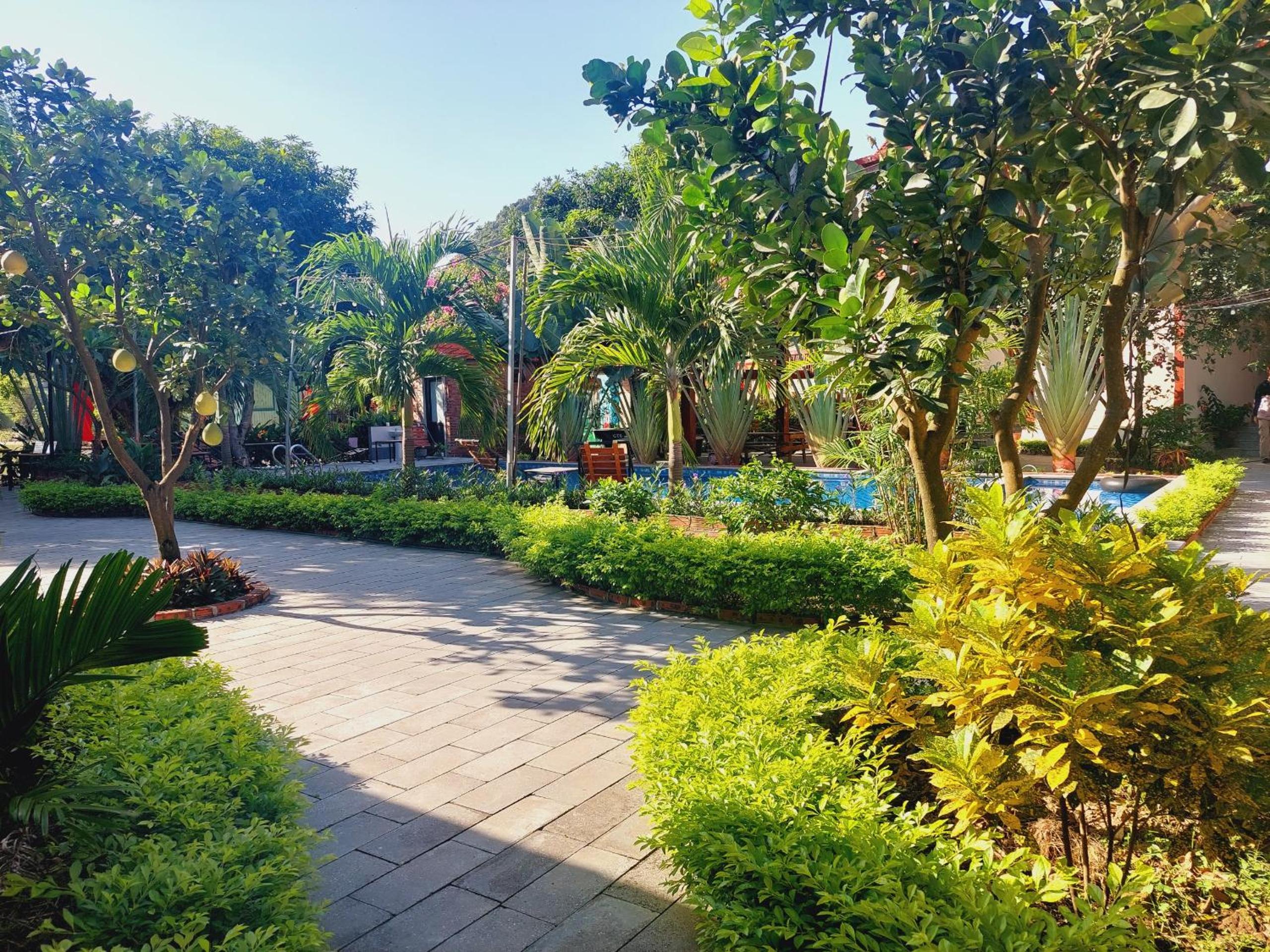 Ninh Binh Mountain Side Homestay & Cafe
