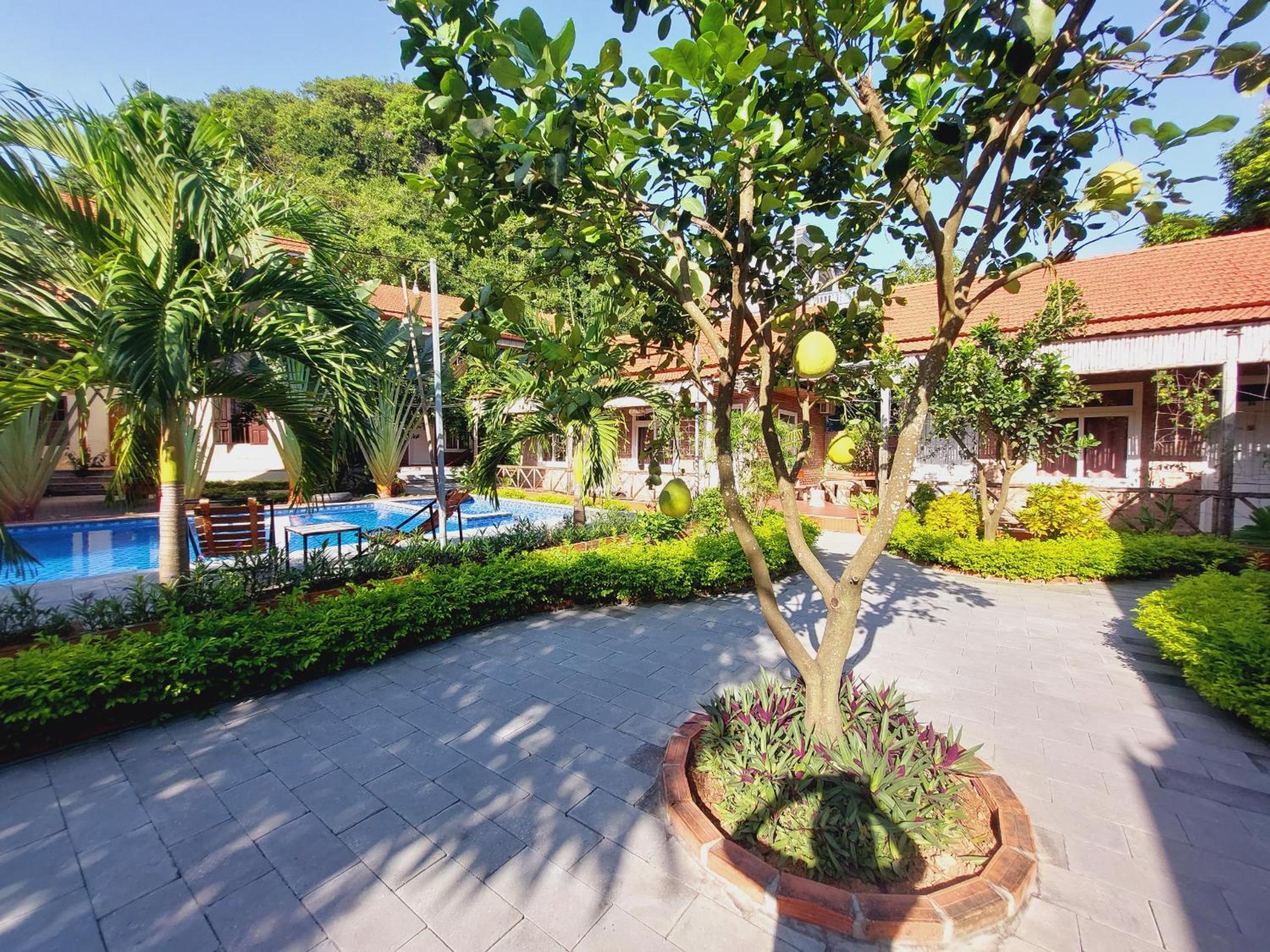 Ninh Binh Mountain Side Homestay & Cafe