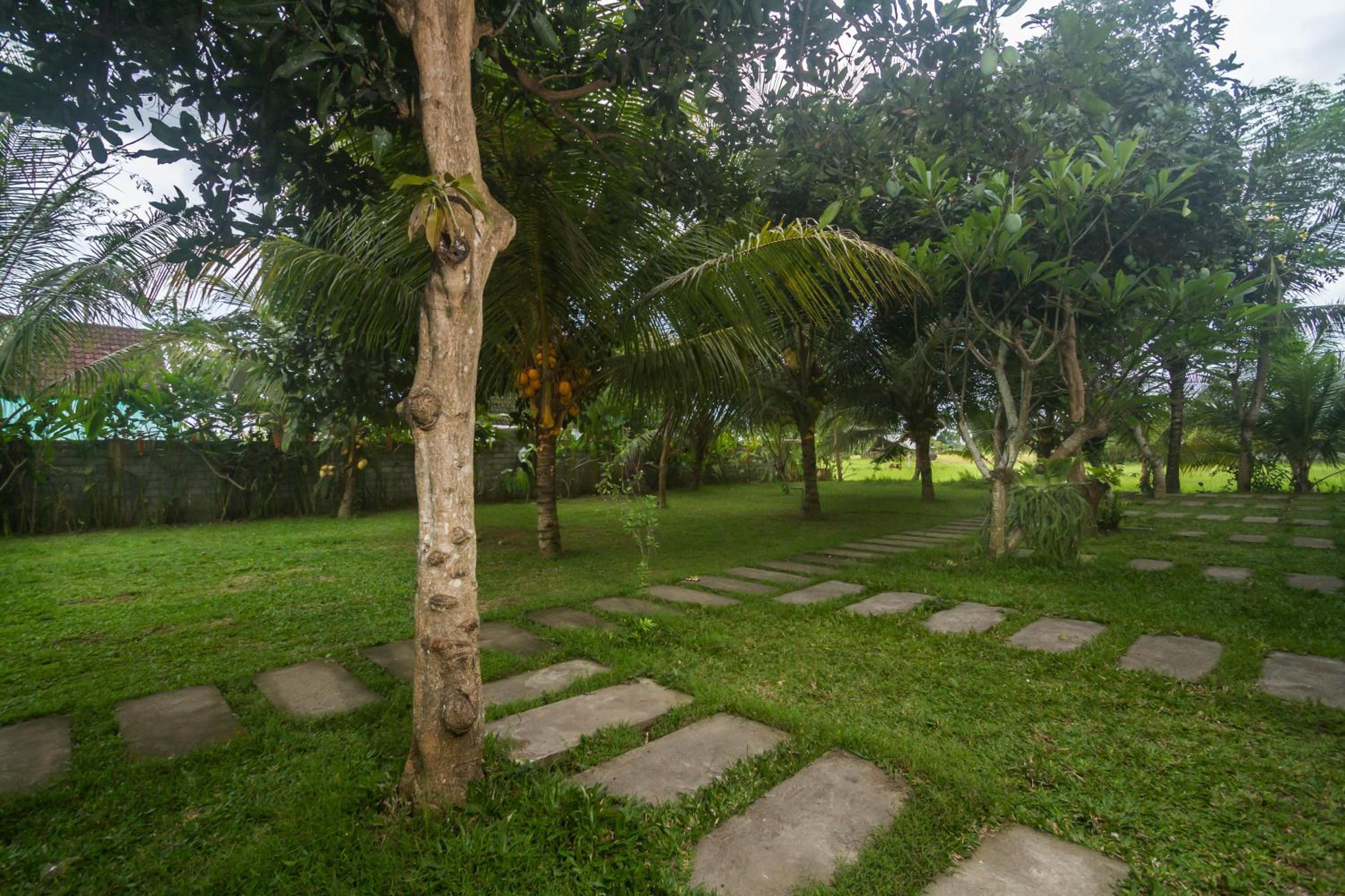 Photo 42