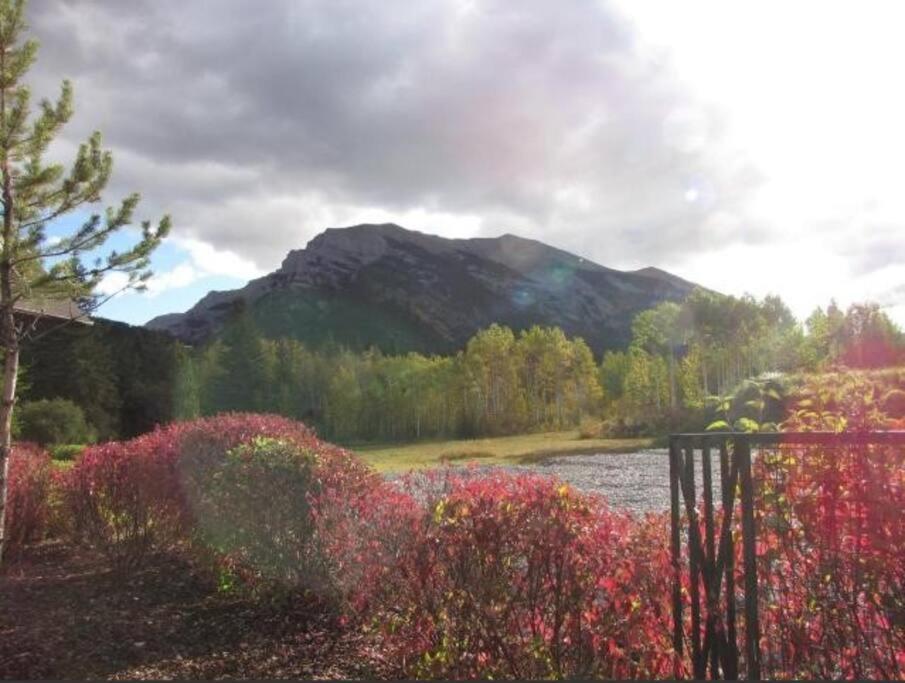 G222 Family Fun- MTN View Stay, Water slide, Pool, Hot Tub, Free Parking