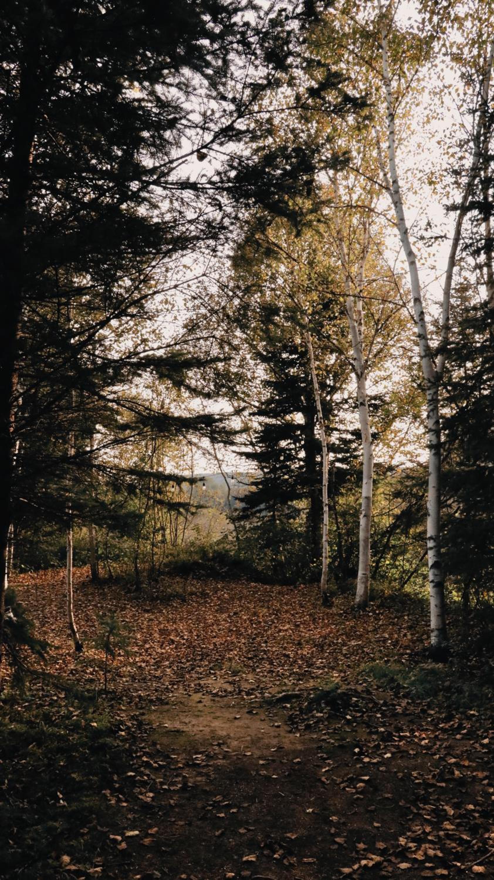 Hébergement Mauricie, La Tuque