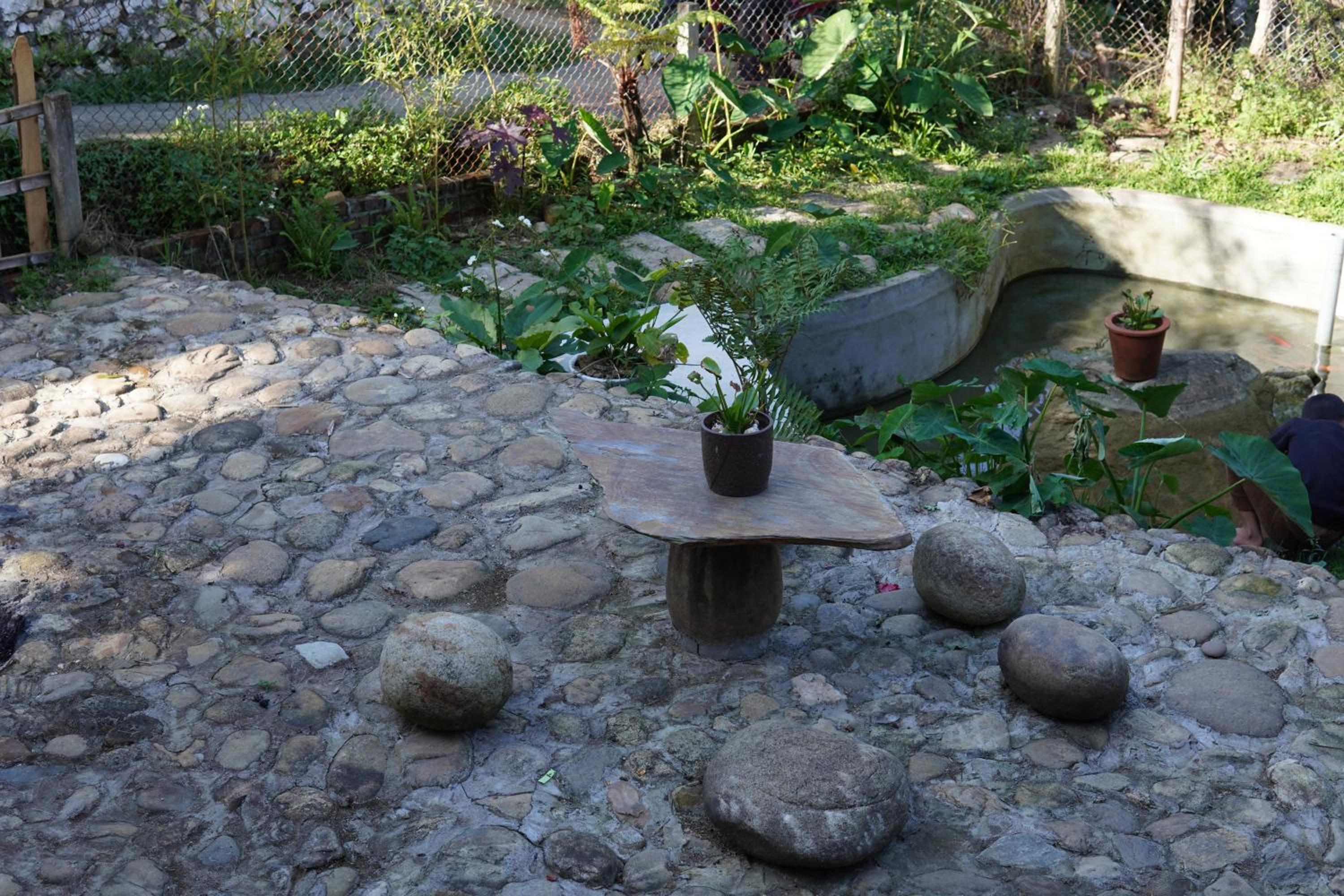 Photo 15