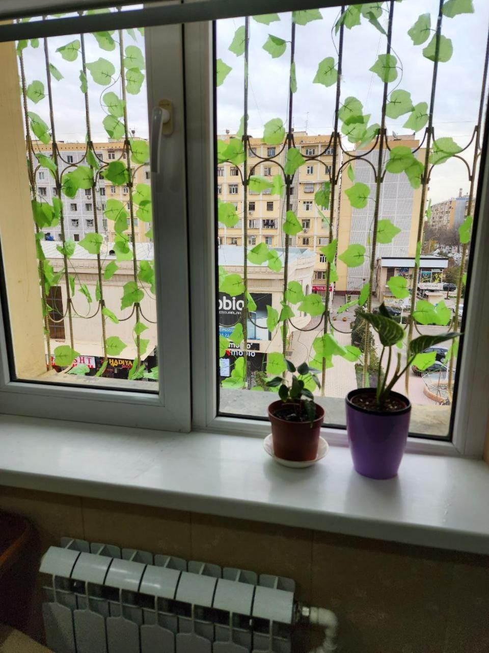 Sergeli apartment