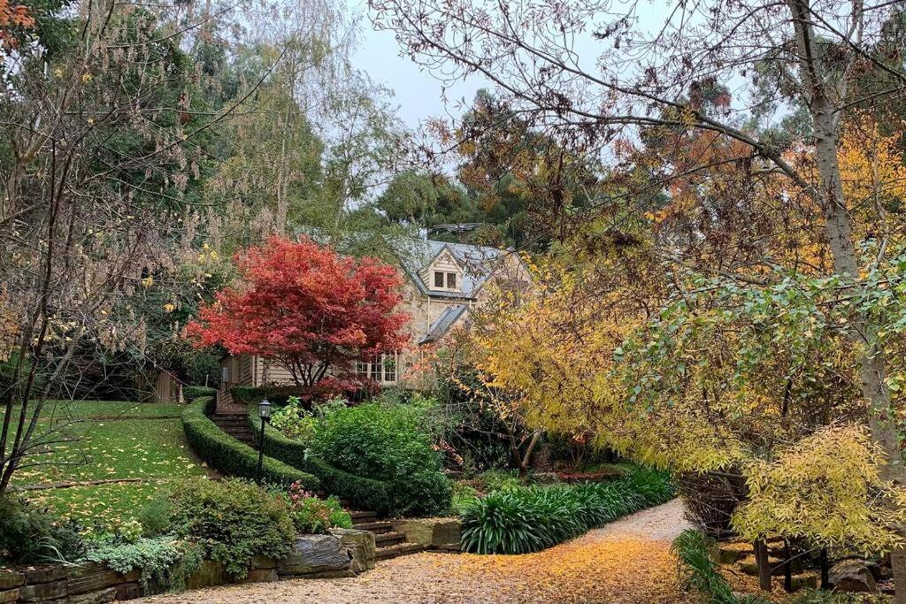 FROGWELL HOLLOW immerse into an idyllic fairytale