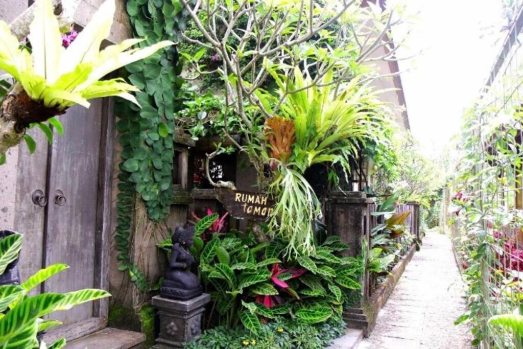 Rumah Taman