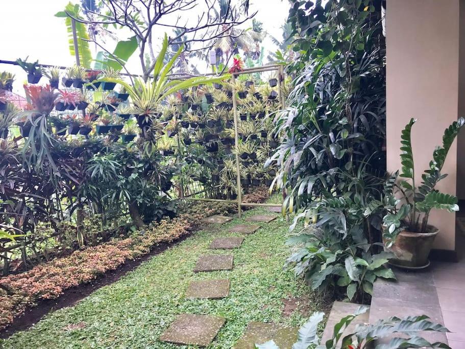 Rumah Taman