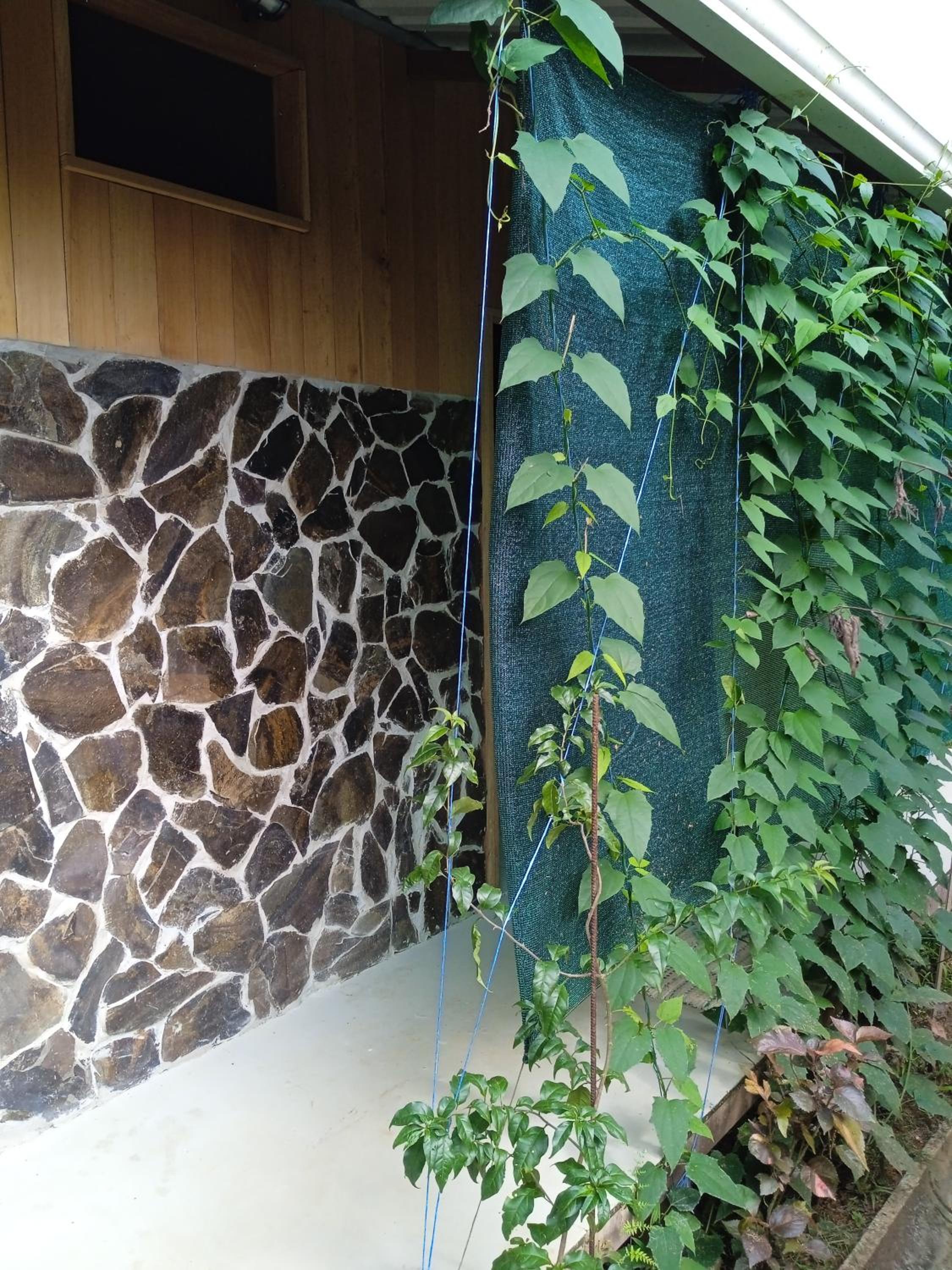 Cabañas Bajo Bosque Drake