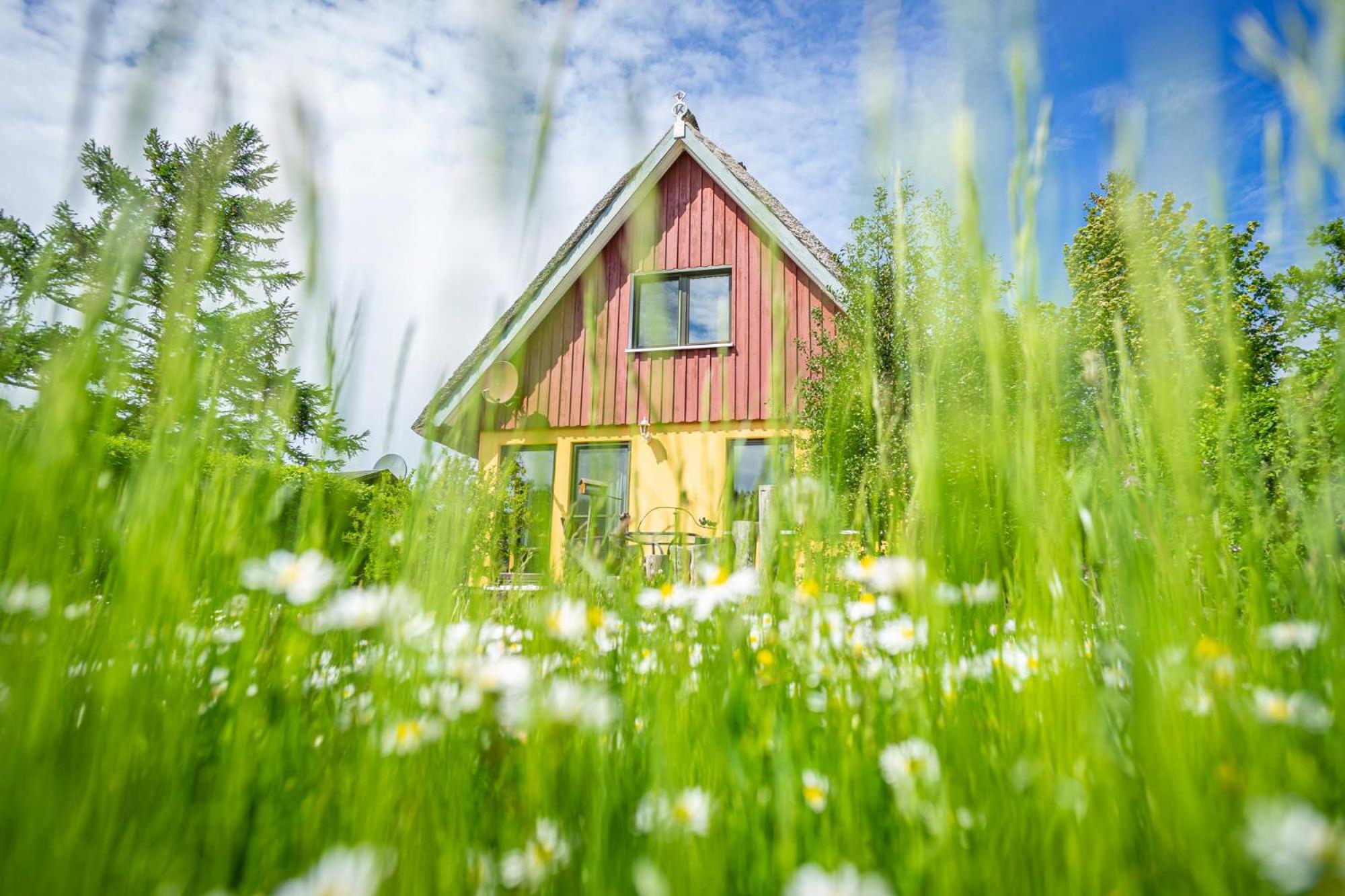 Ferienhaus "Halfdin- Halfmin" view 2