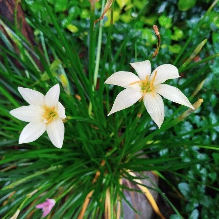 Photo 43