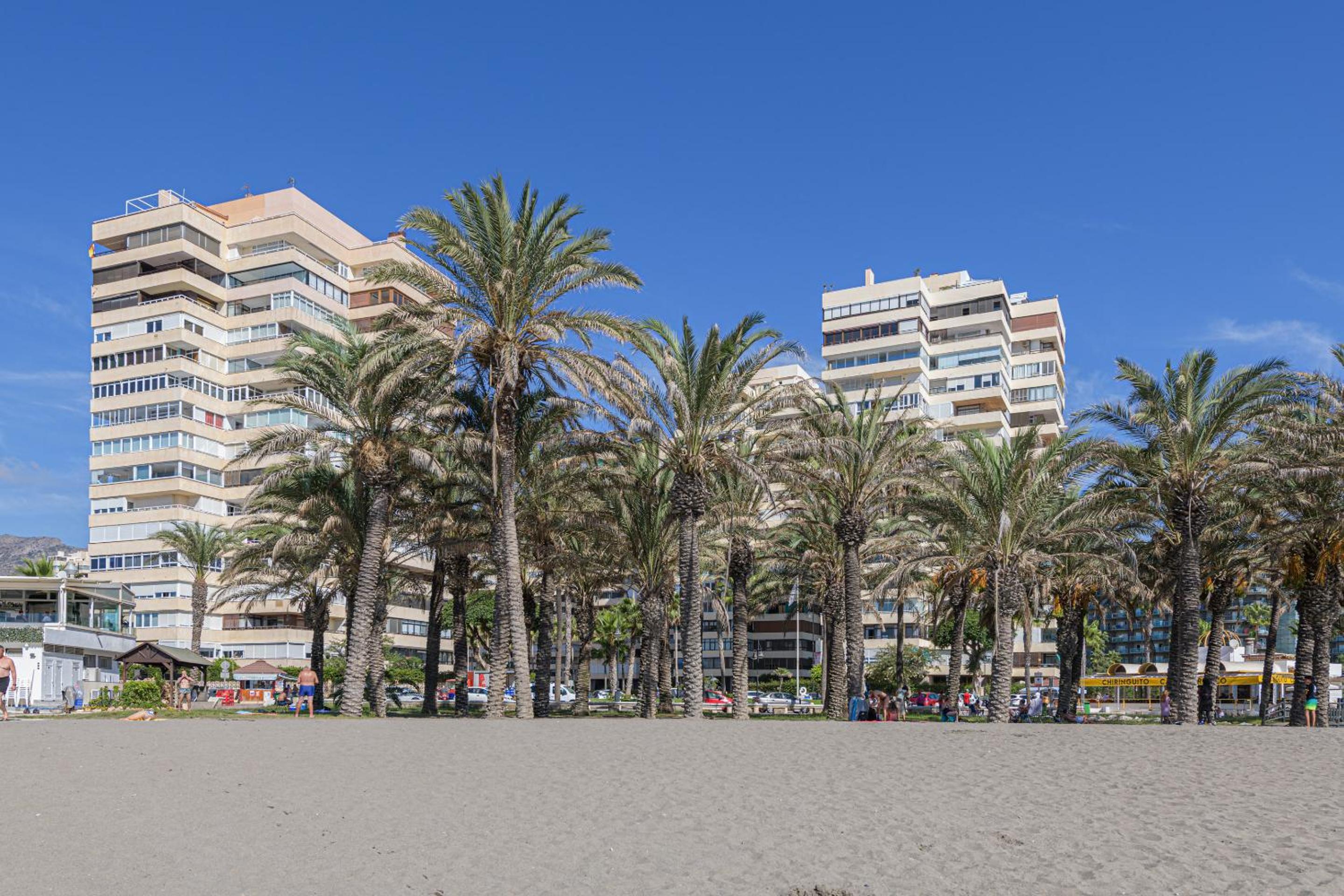 Playamar photo 2