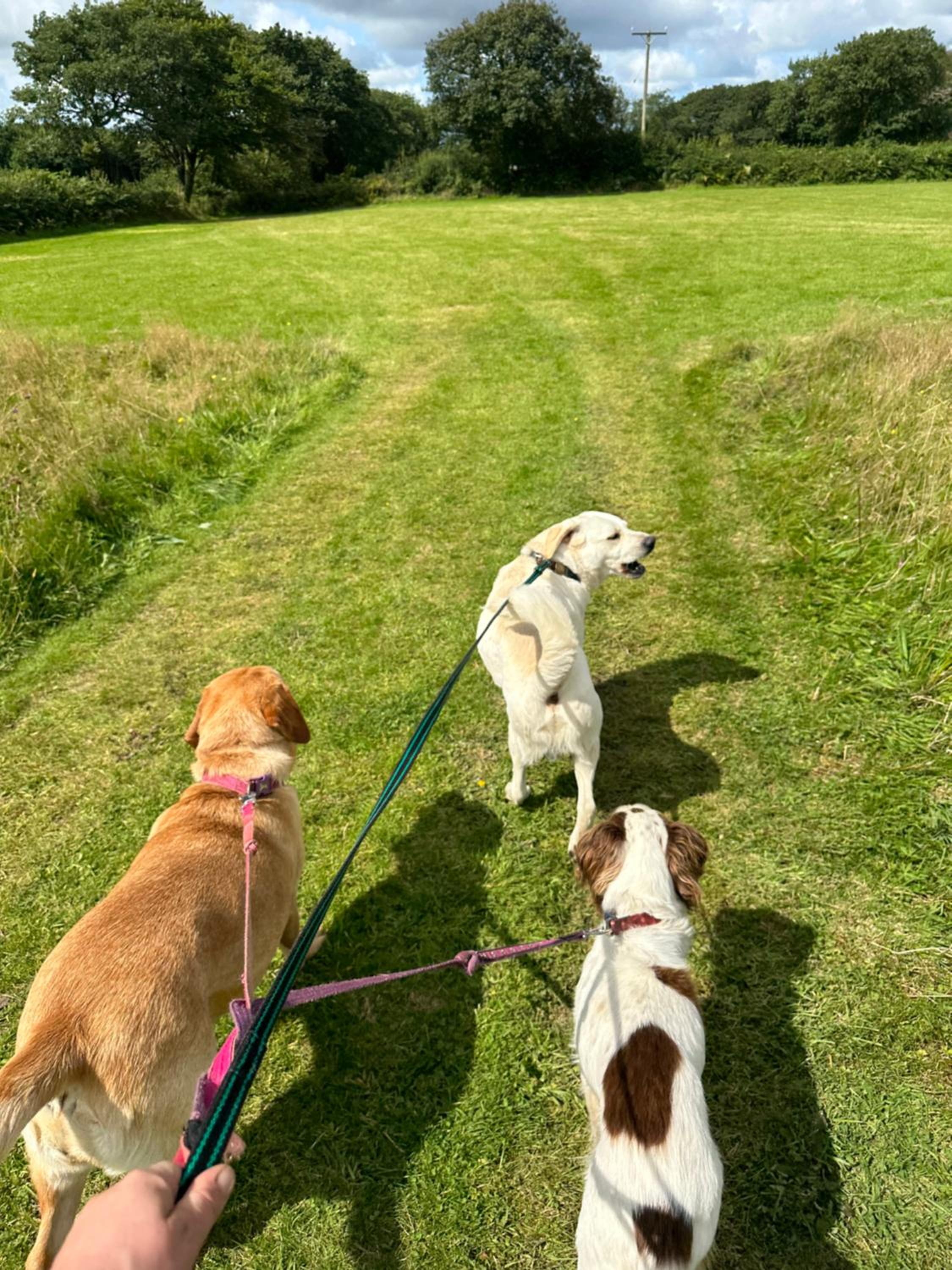 Pheasants Nook