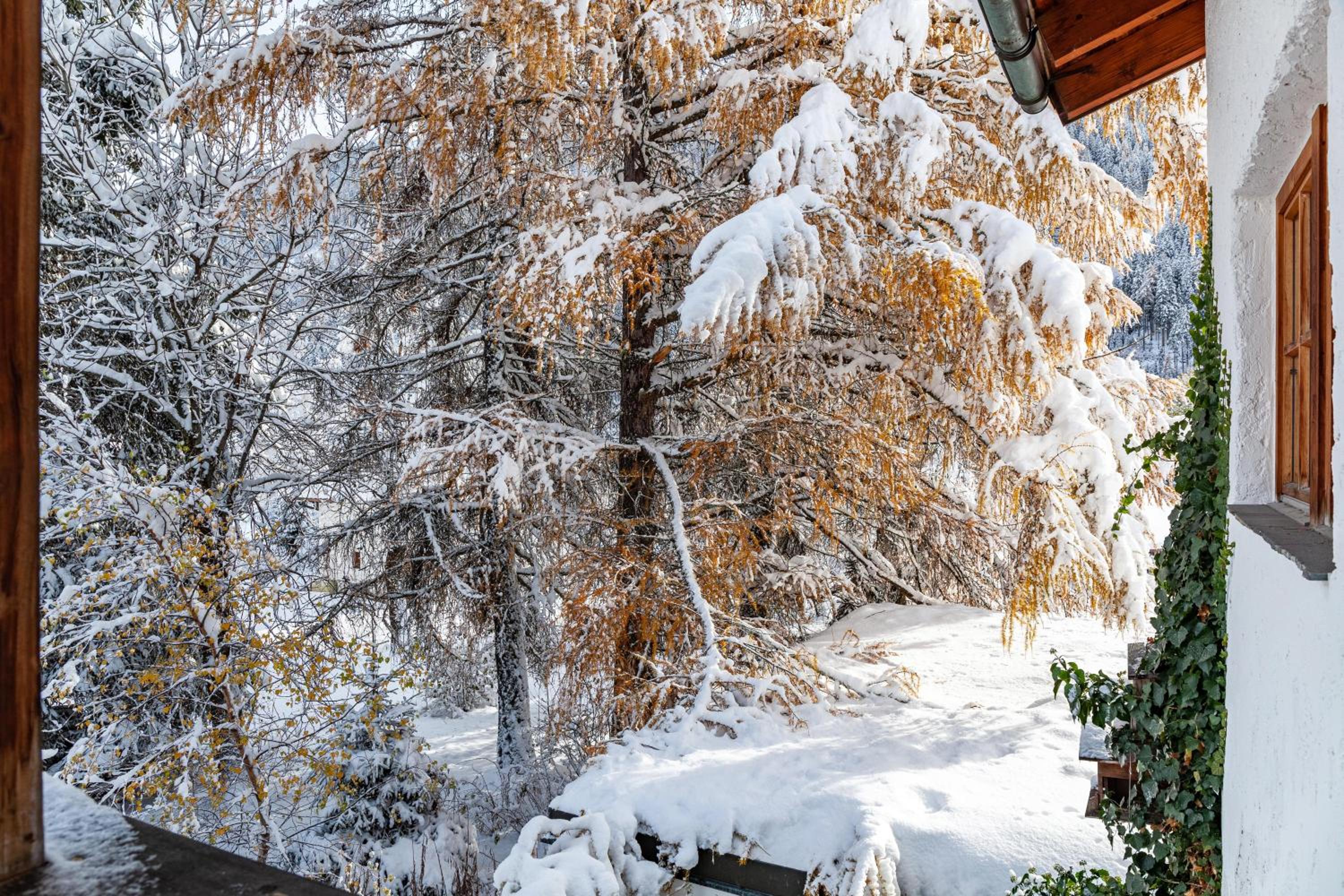 Chalet Flocke Sternschnuppe