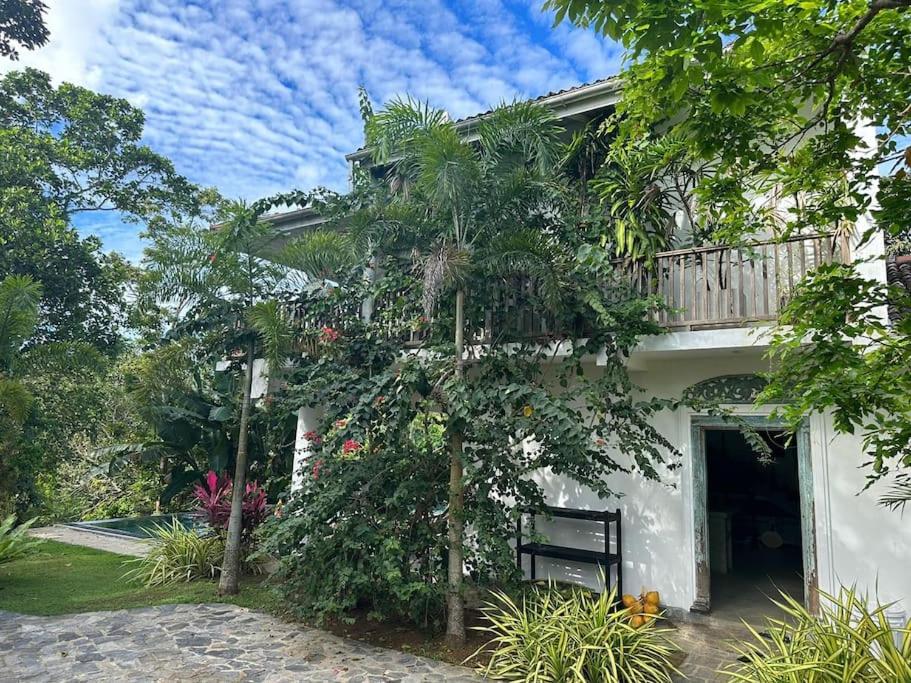 Peaceful villa in the jungle view 2