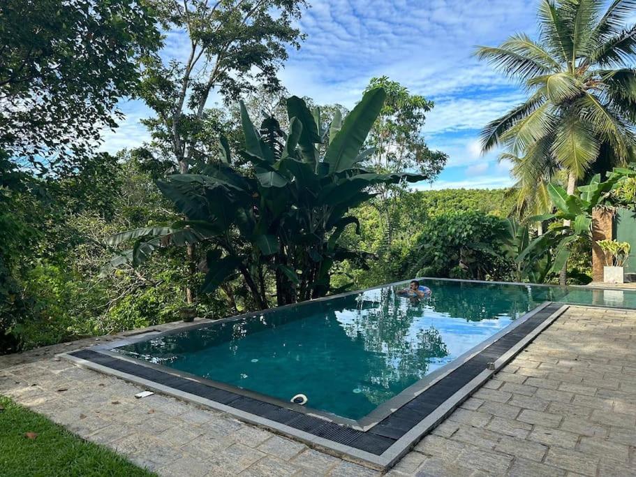Peaceful villa in the jungle view 3