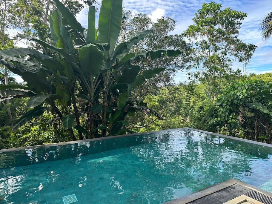 Peaceful villa in the jungle view 4