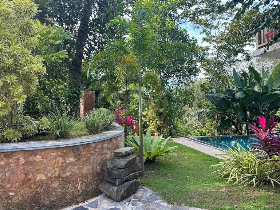 Peaceful villa in the jungle view 5