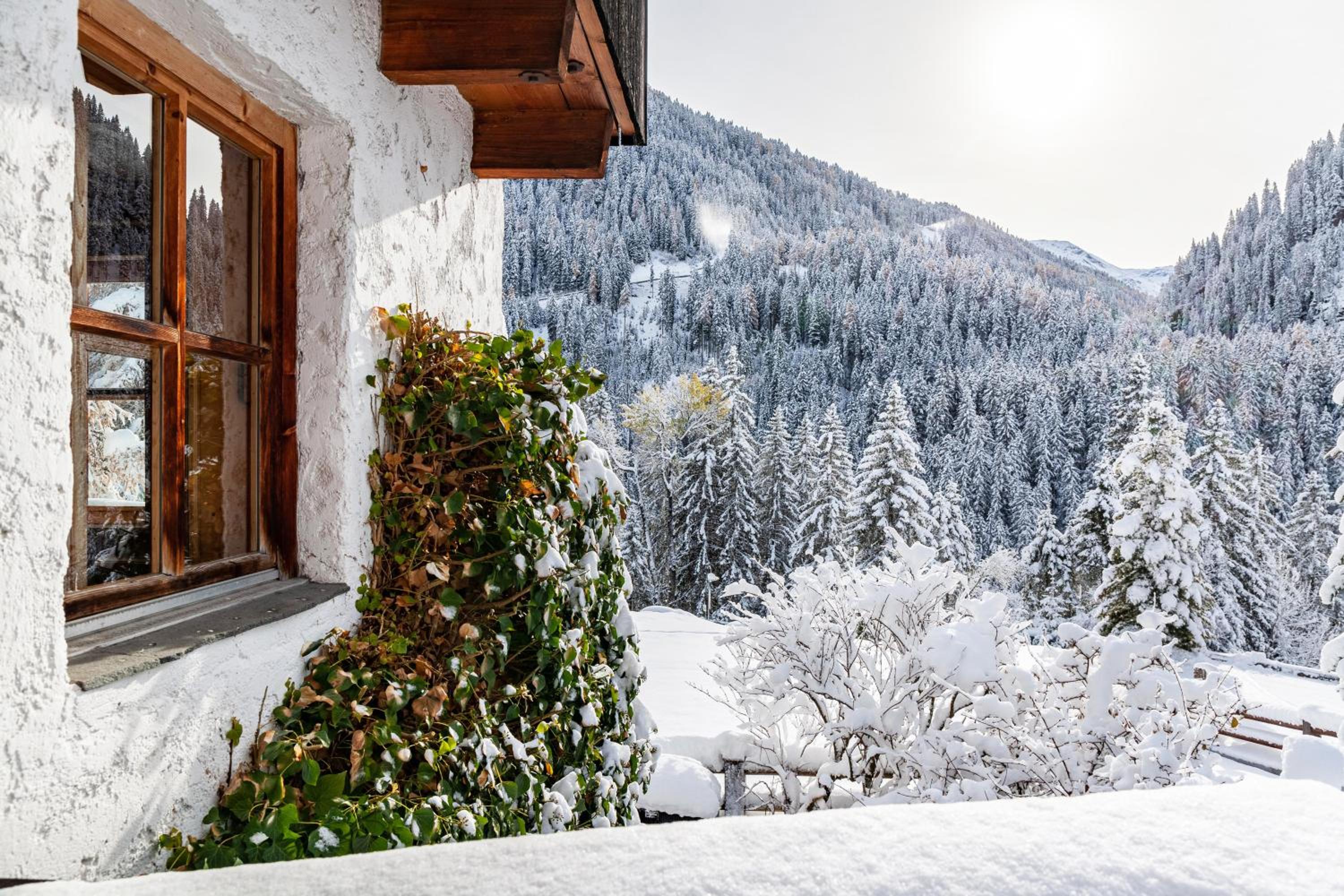 Chalet Flocke Appart Murmeltier