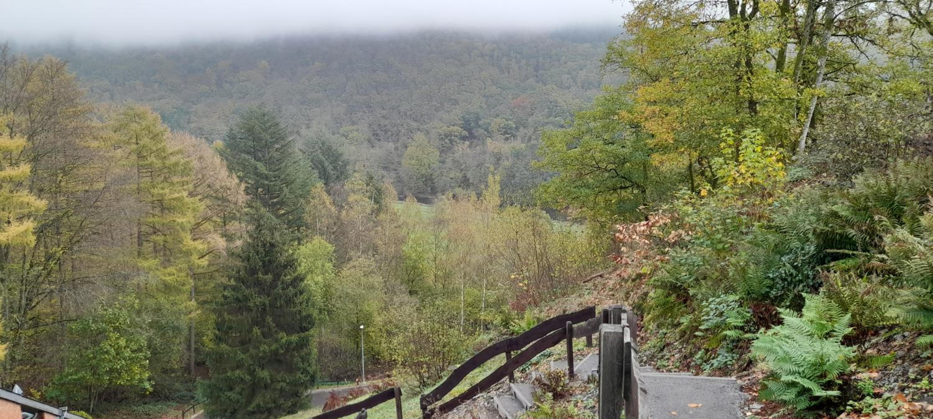 Le Sentier des Lavandes