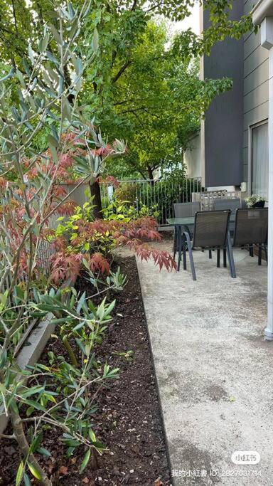 Stylish & Modern Townhouse in Canberra