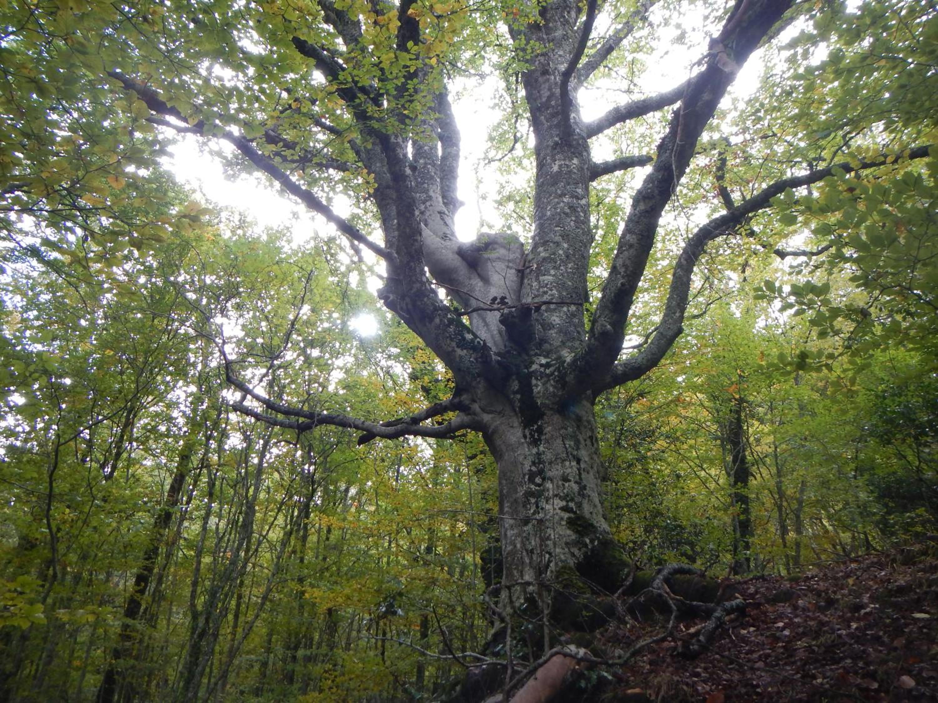 Photo 46