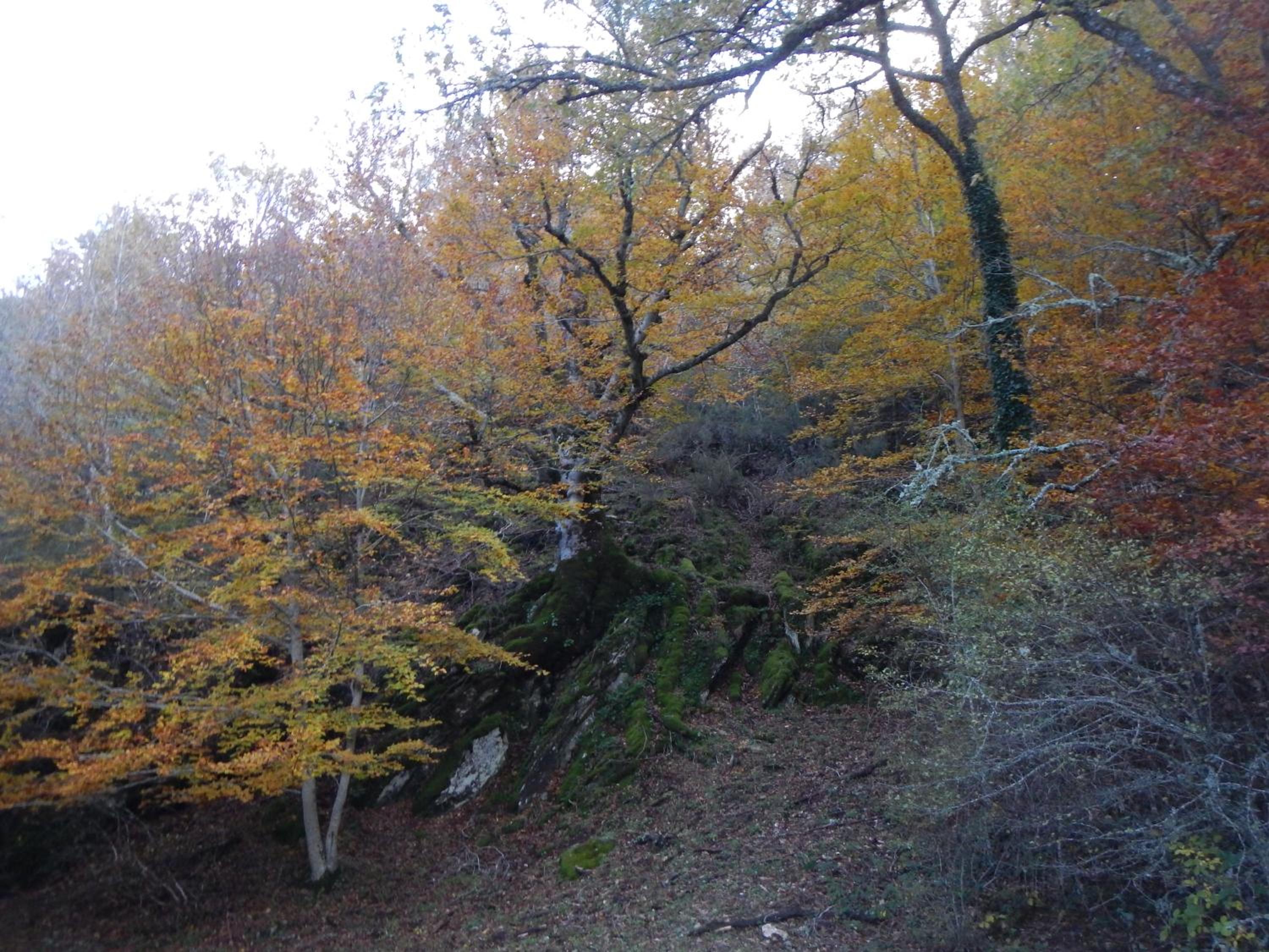 Photo 47