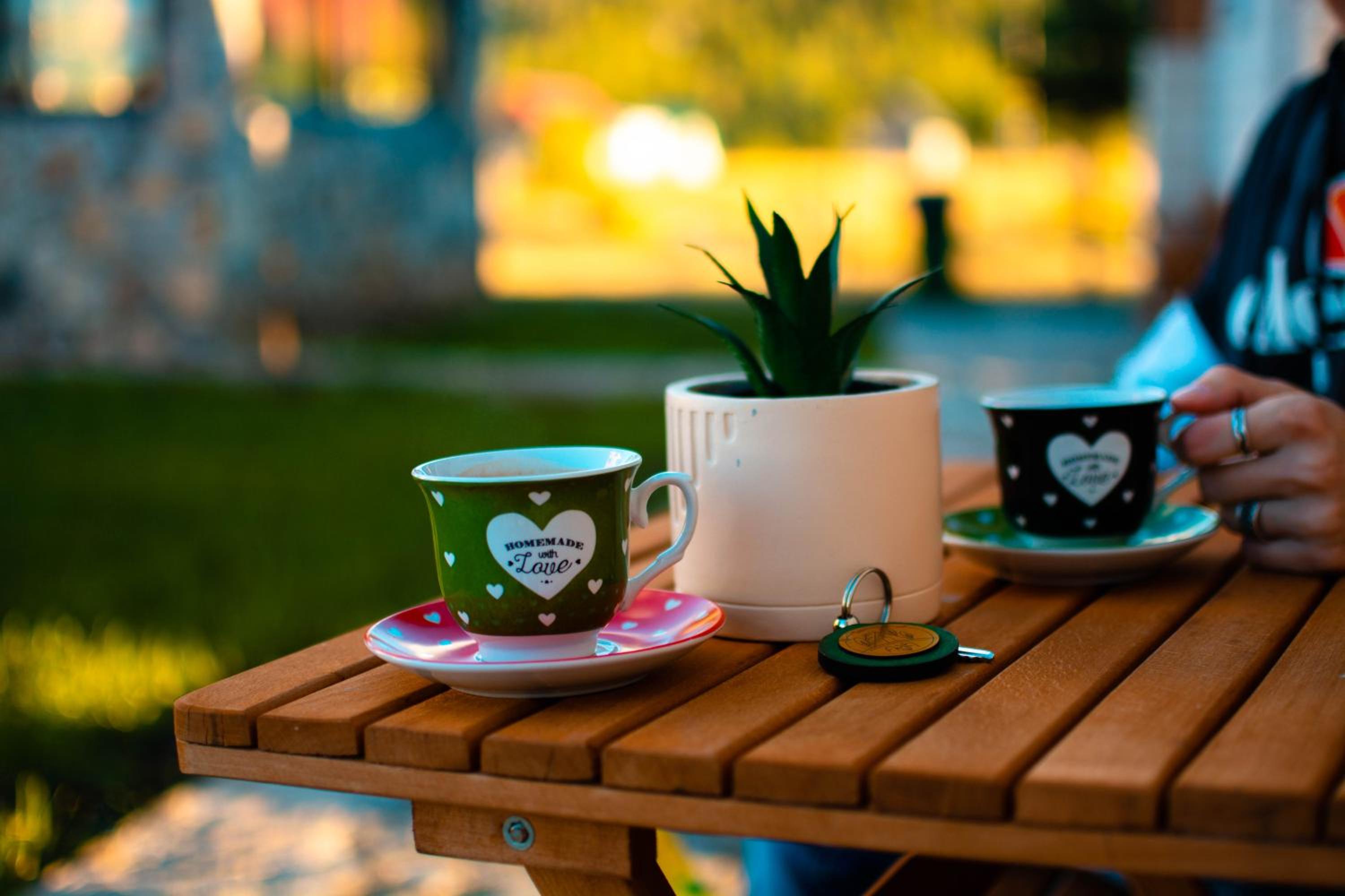 ''ARIJA'' Cozy Weekend Cottage view 2