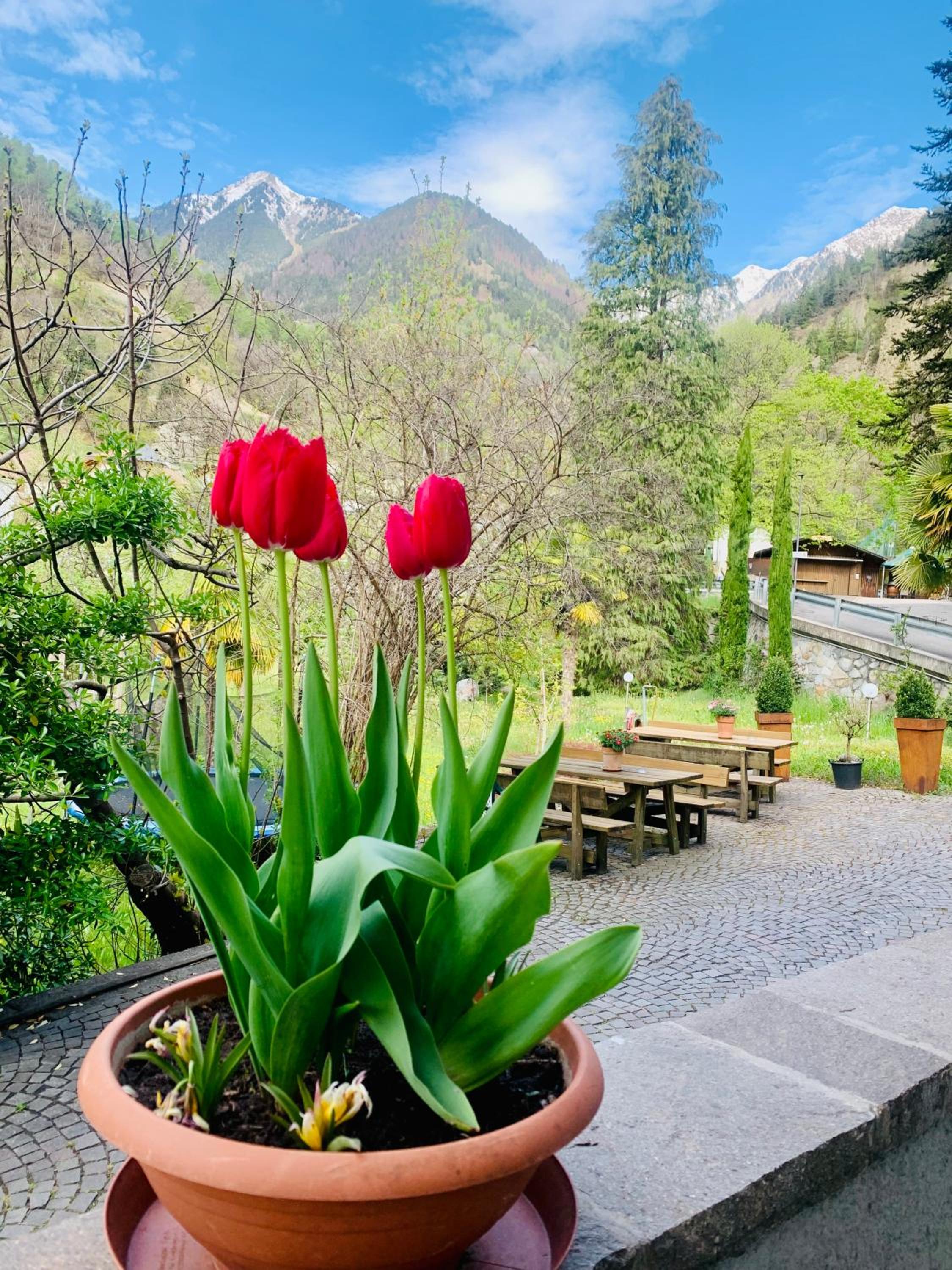 Tannerhof Bed & Breakfast photo 3