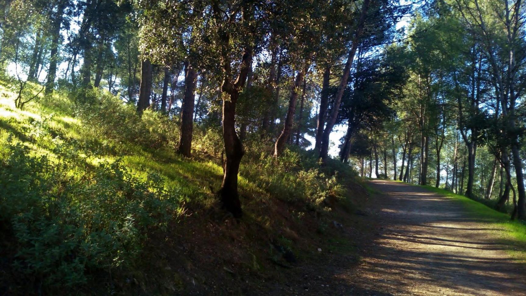 Alojamiento Rural Las Viñas