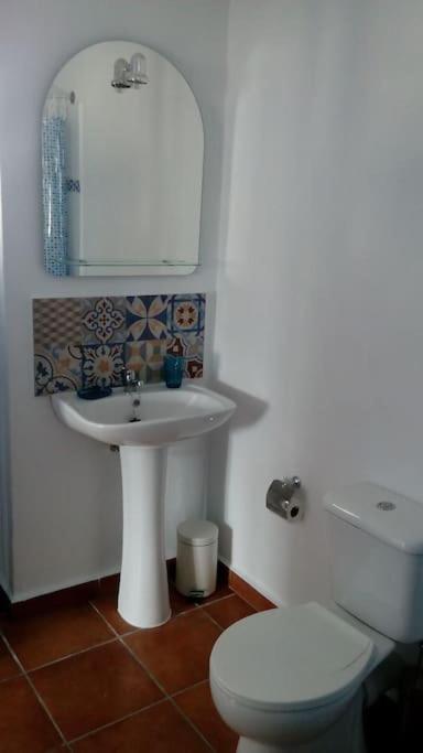 The Vine Studio