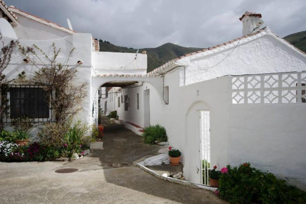The Vine Studio