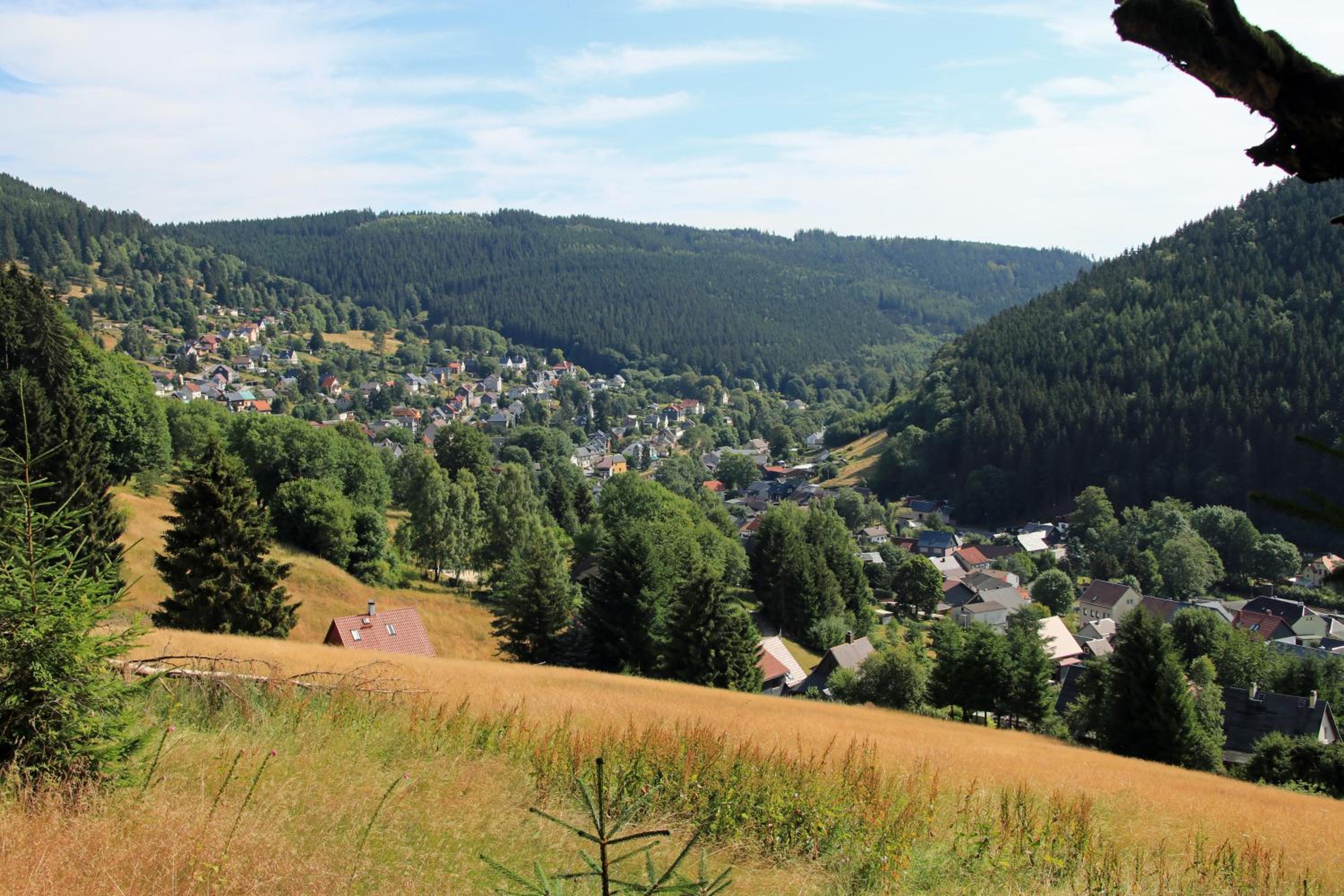 Pension Am Waldesrand