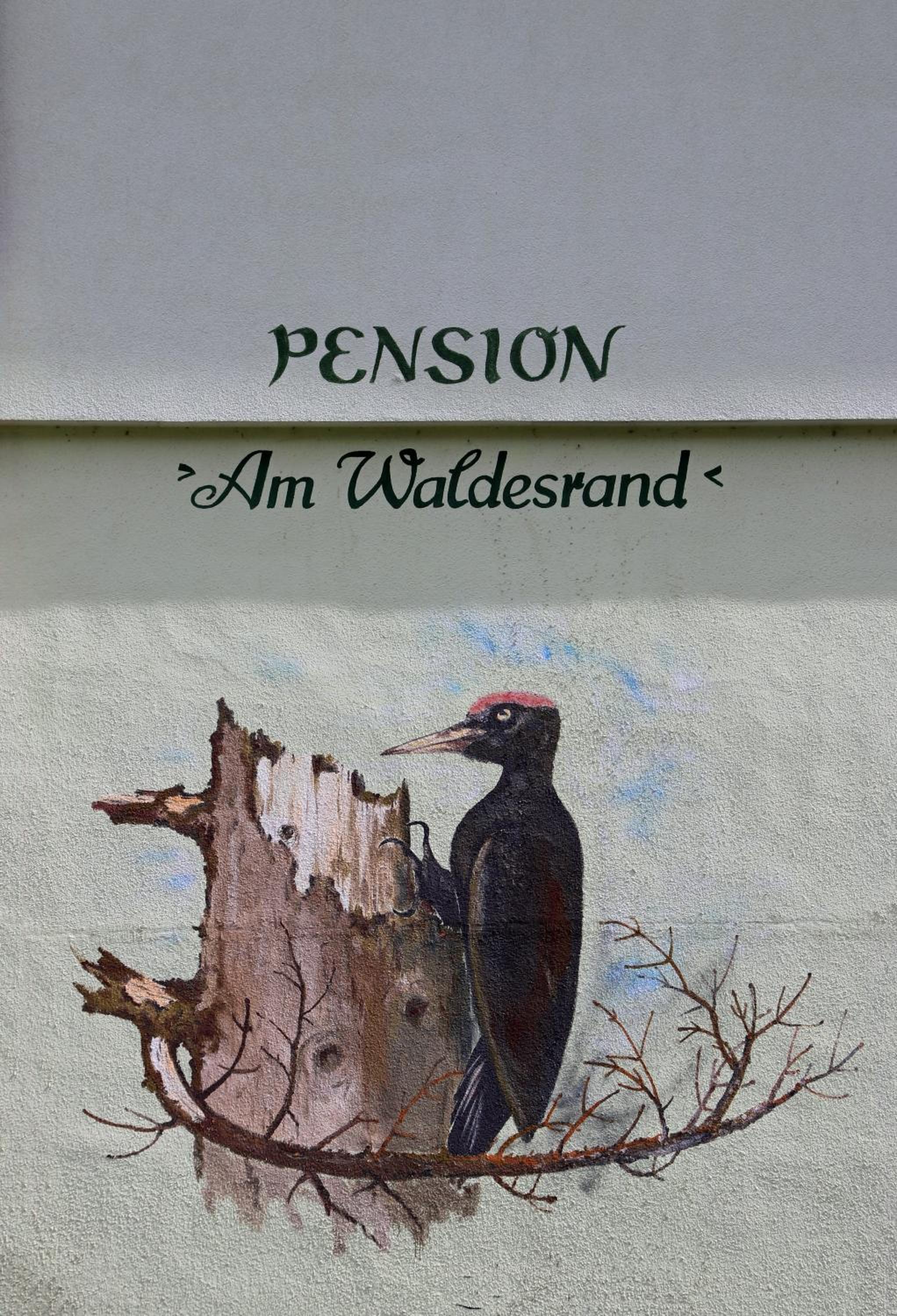 Pension Am Waldesrand