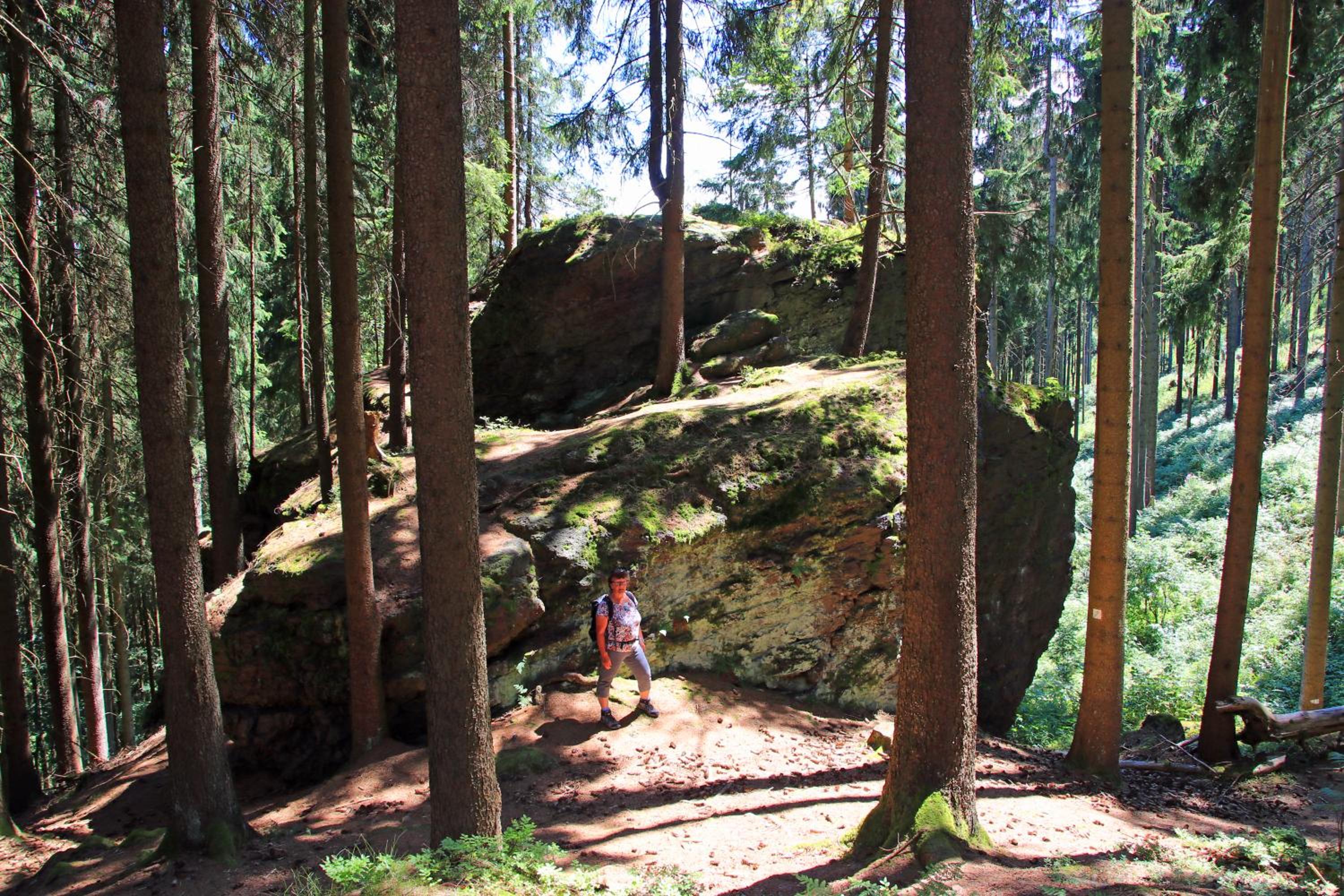 Pension Am Waldesrand
