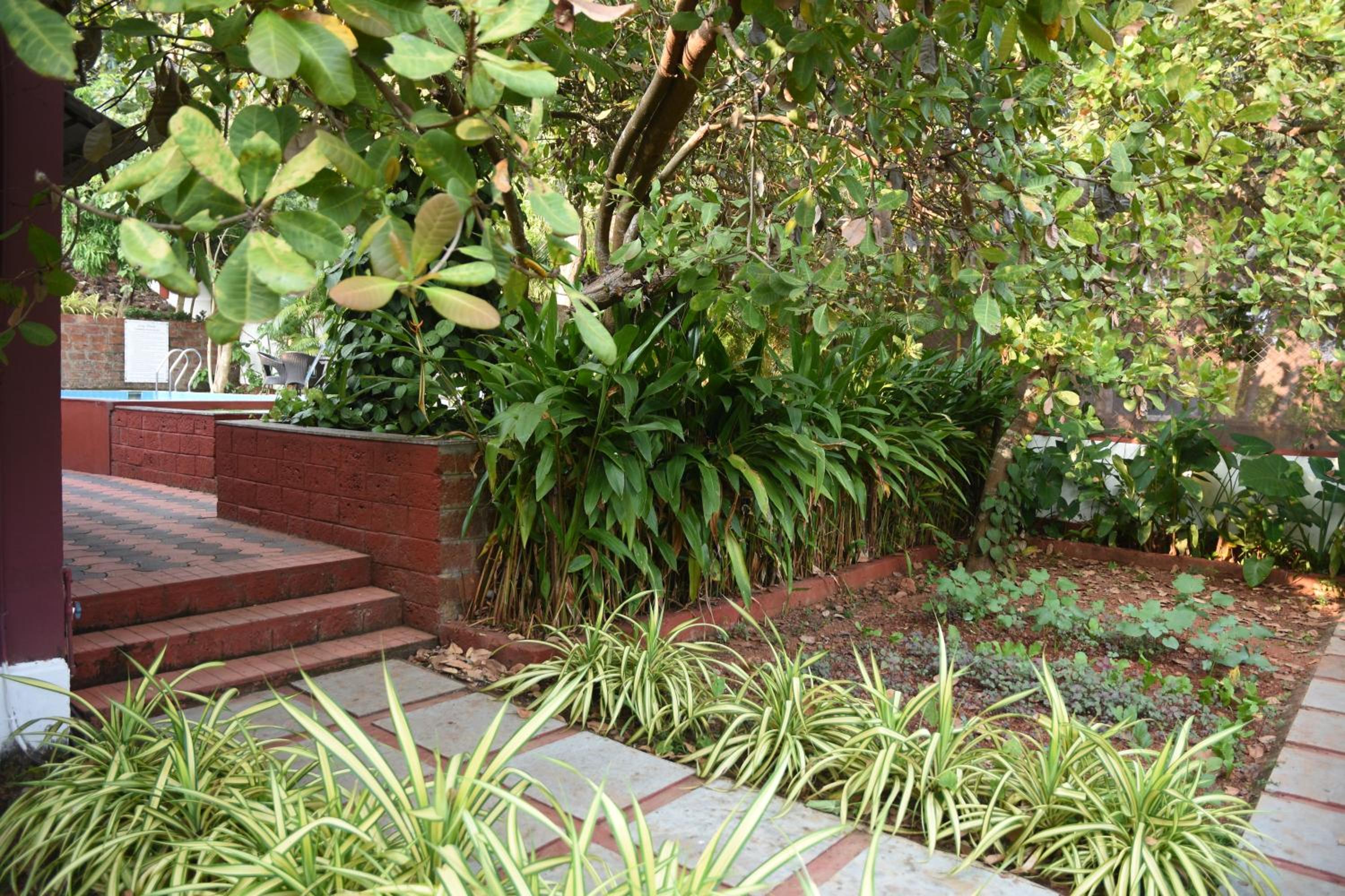 Photo 13