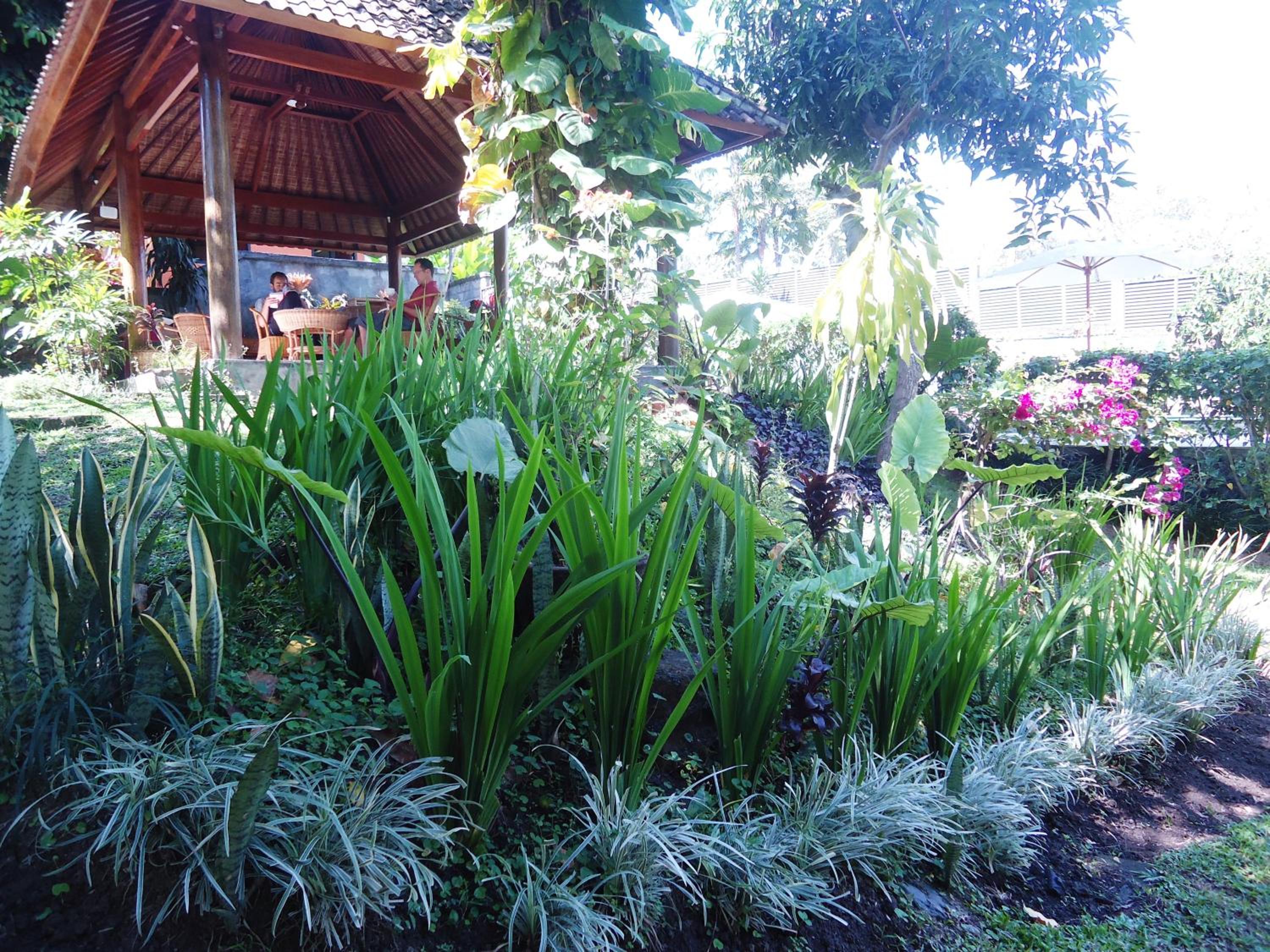 Argasoka Bungalows