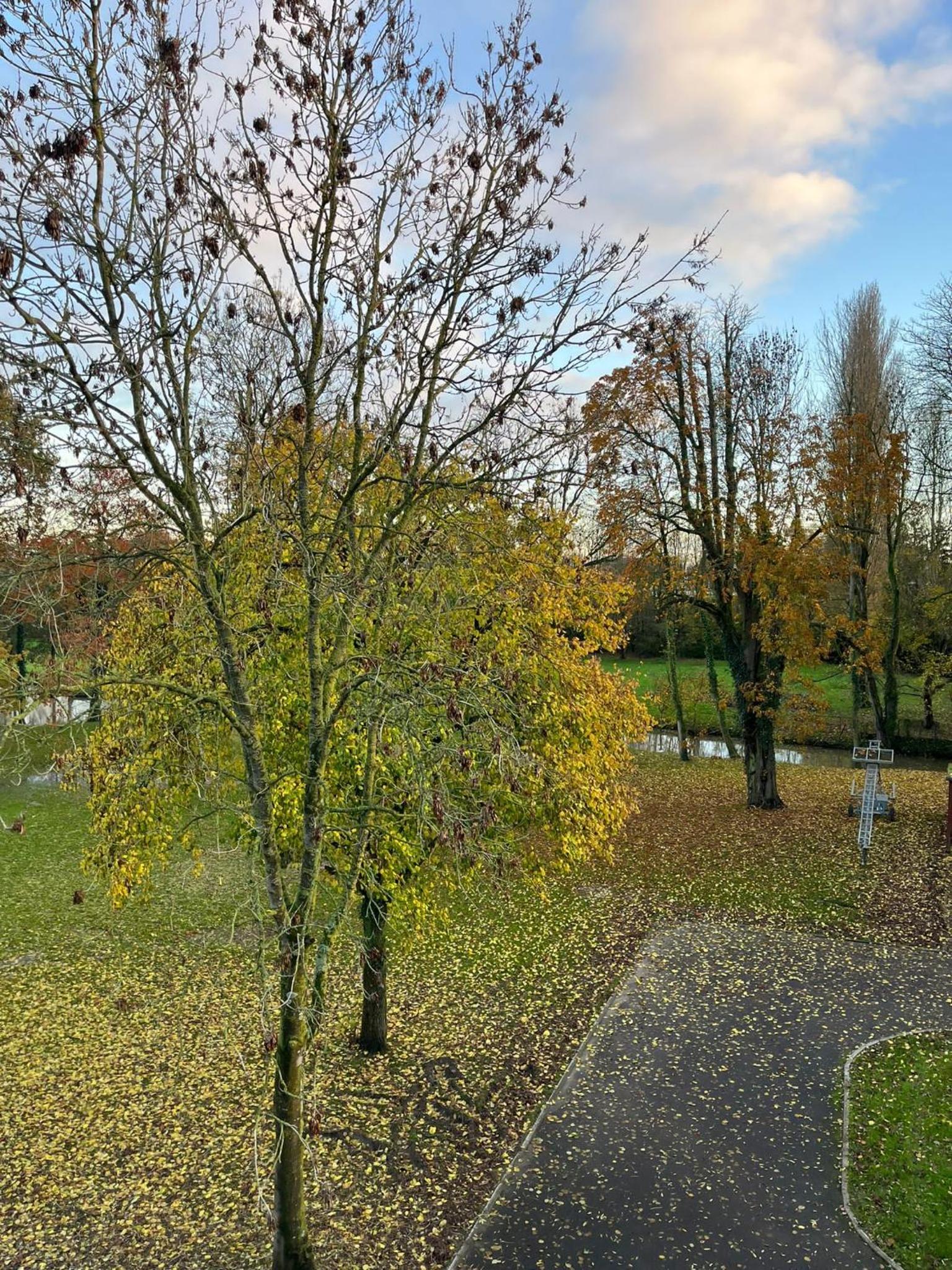 Reiger Burg
