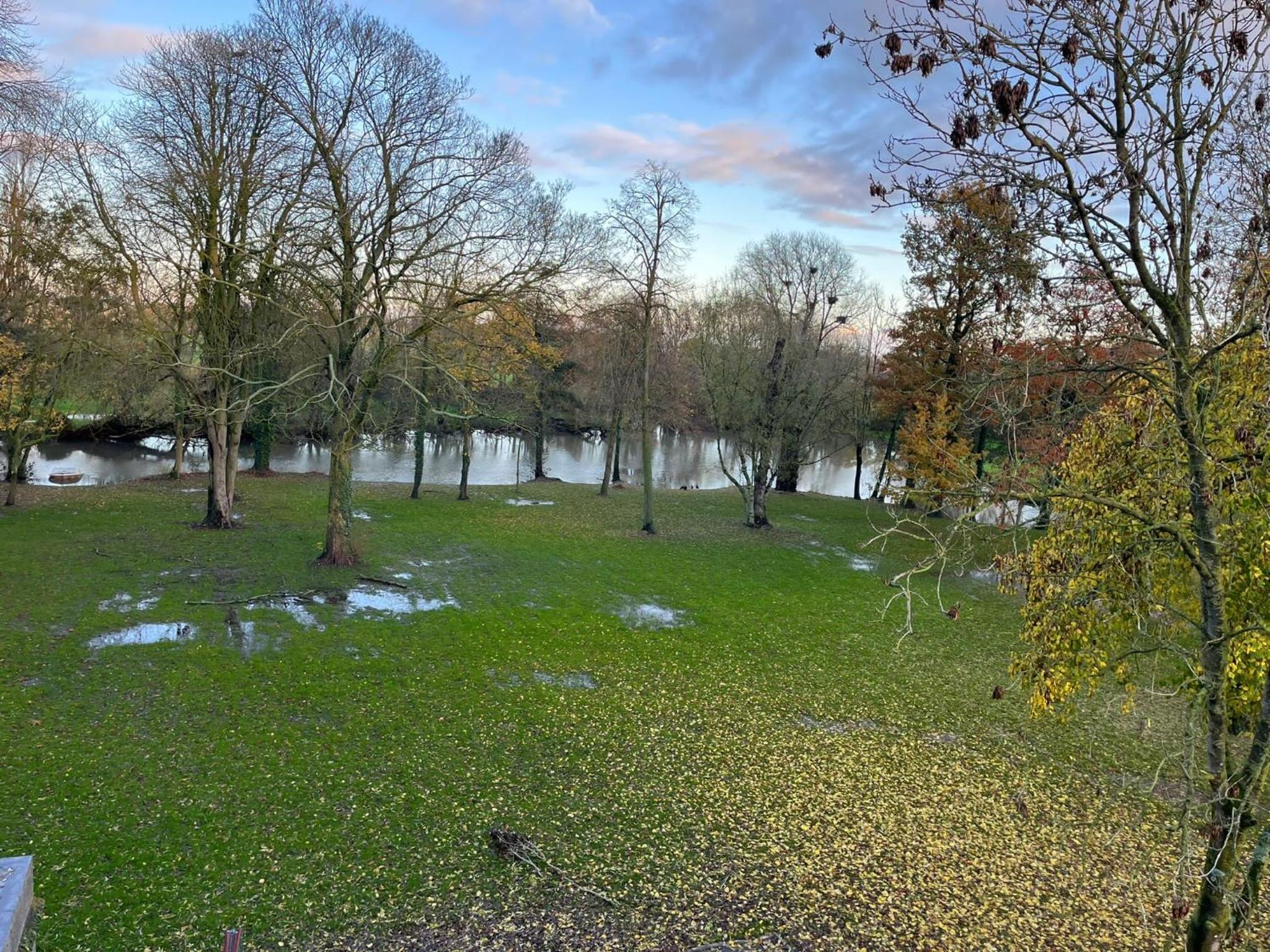 Reiger Burg