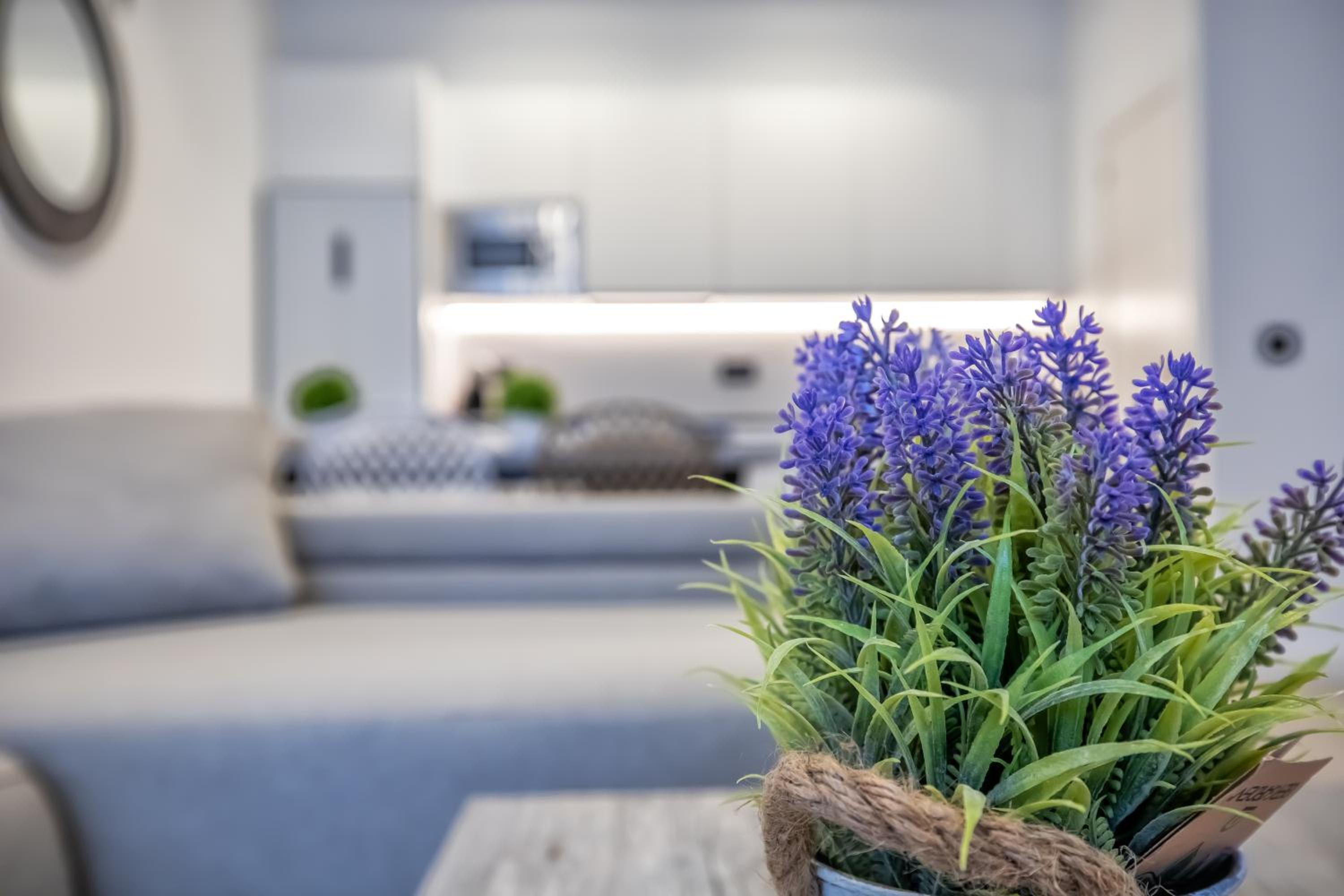 Apartamento DOMI & Parking Incluido