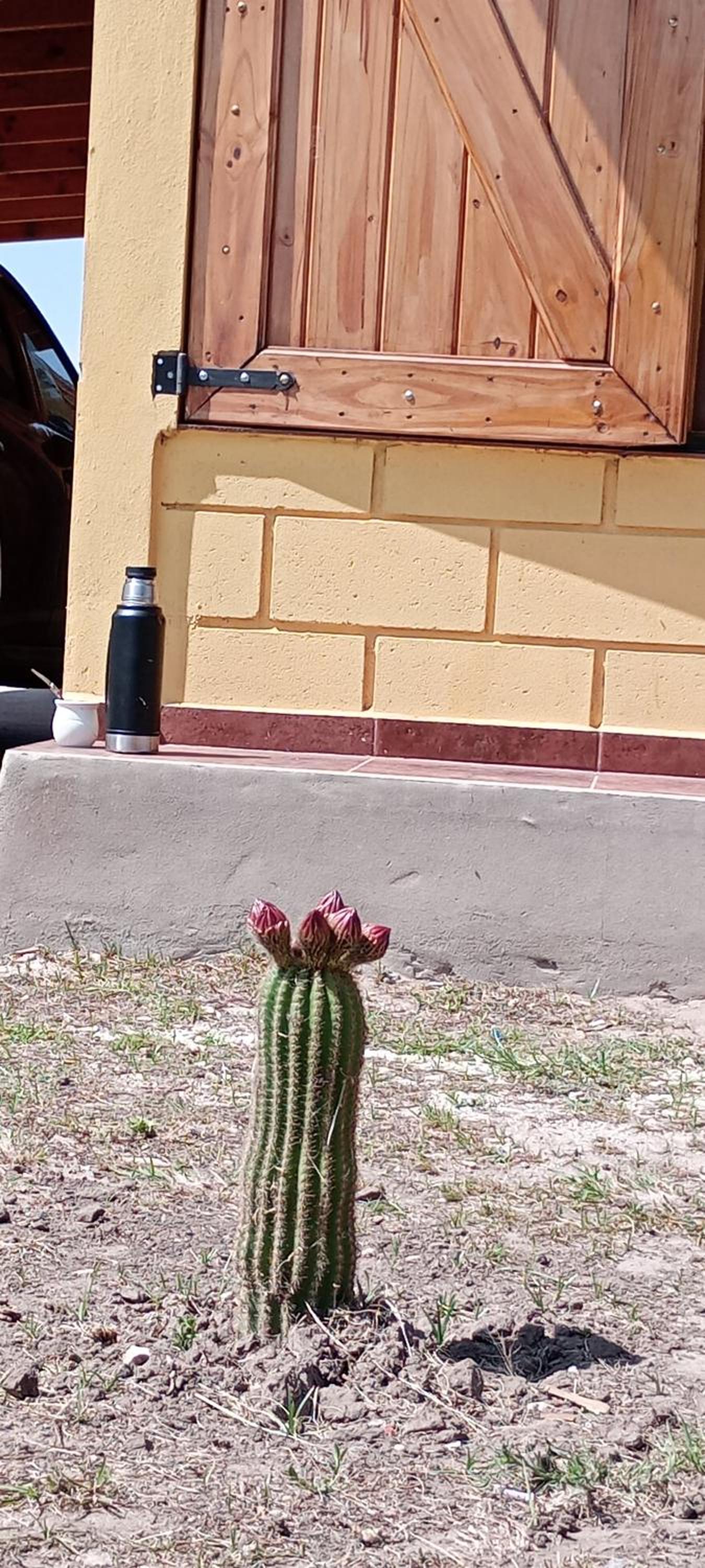 Cabaña La Rosita