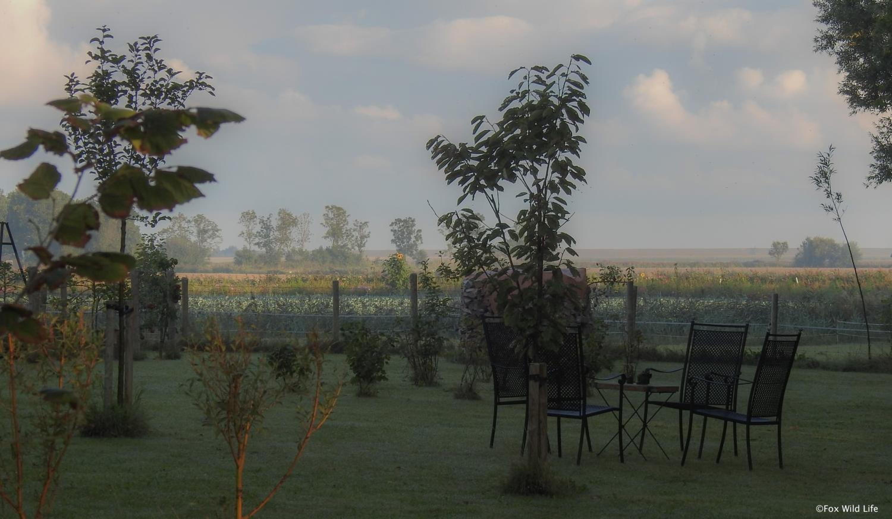 Photo 31