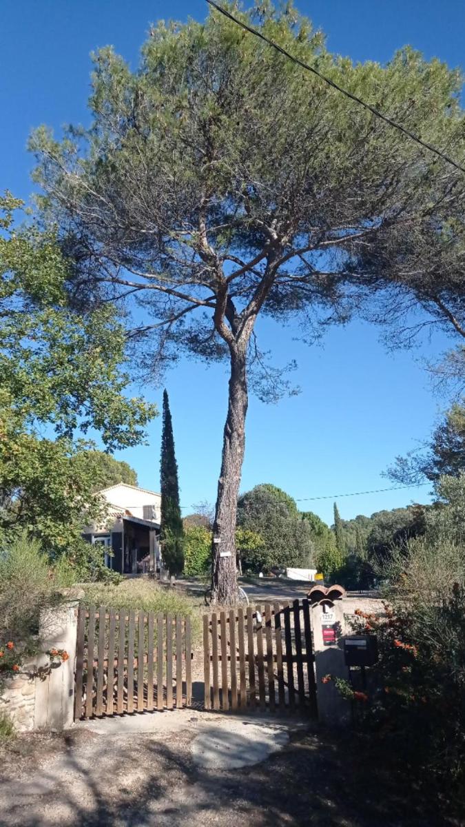 Les Cigales view 3